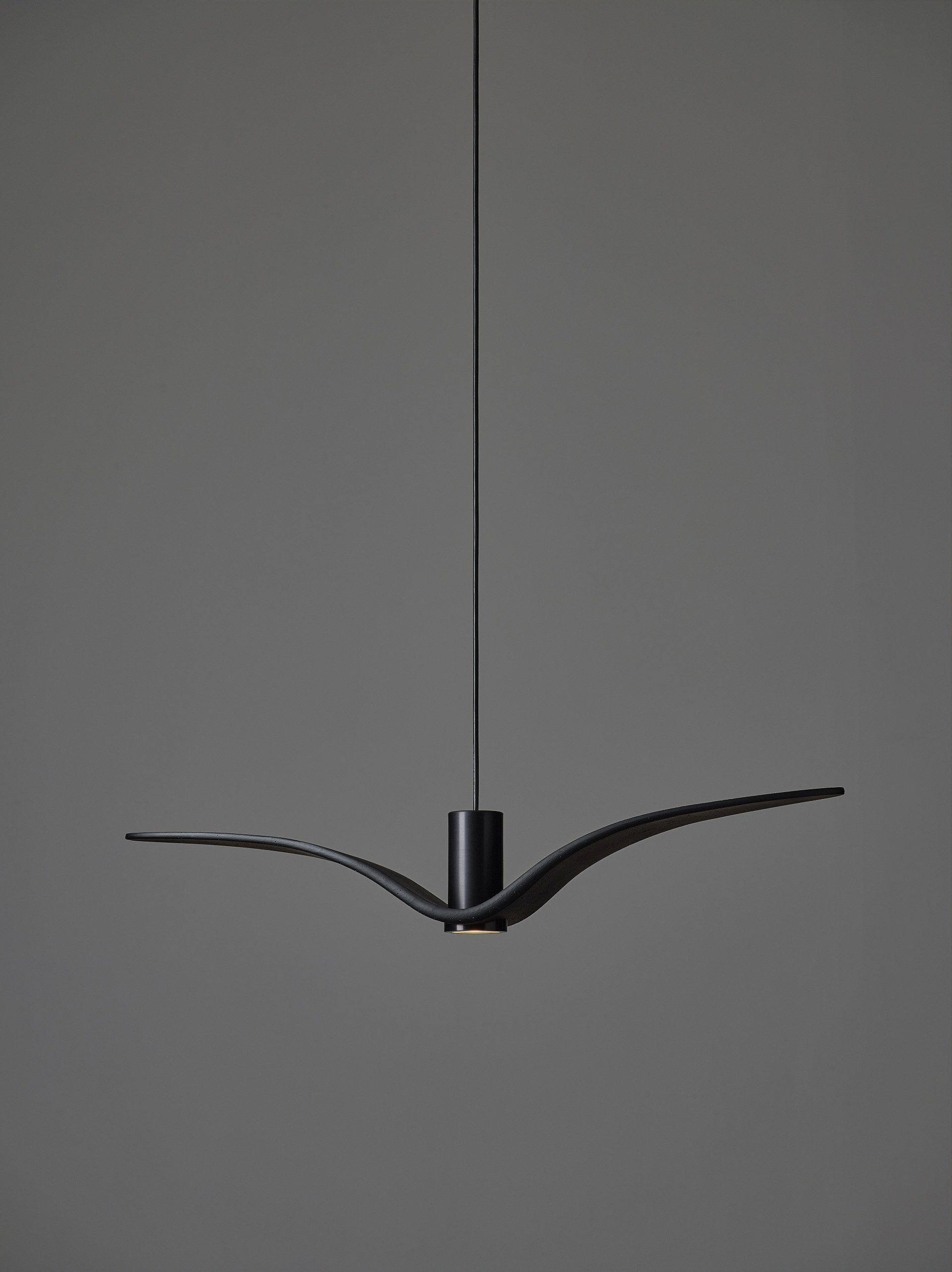 Lampa wisząca zewnętrzna NIGHT BIRDS EXTERIOR szkło