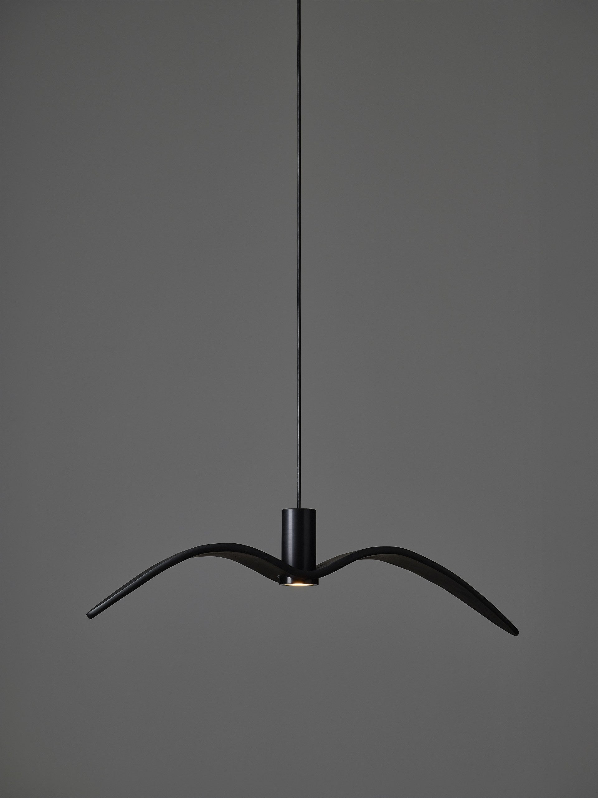 Lampa wisząca zewnętrzna NIGHT BIRDS EXTERIOR szkło