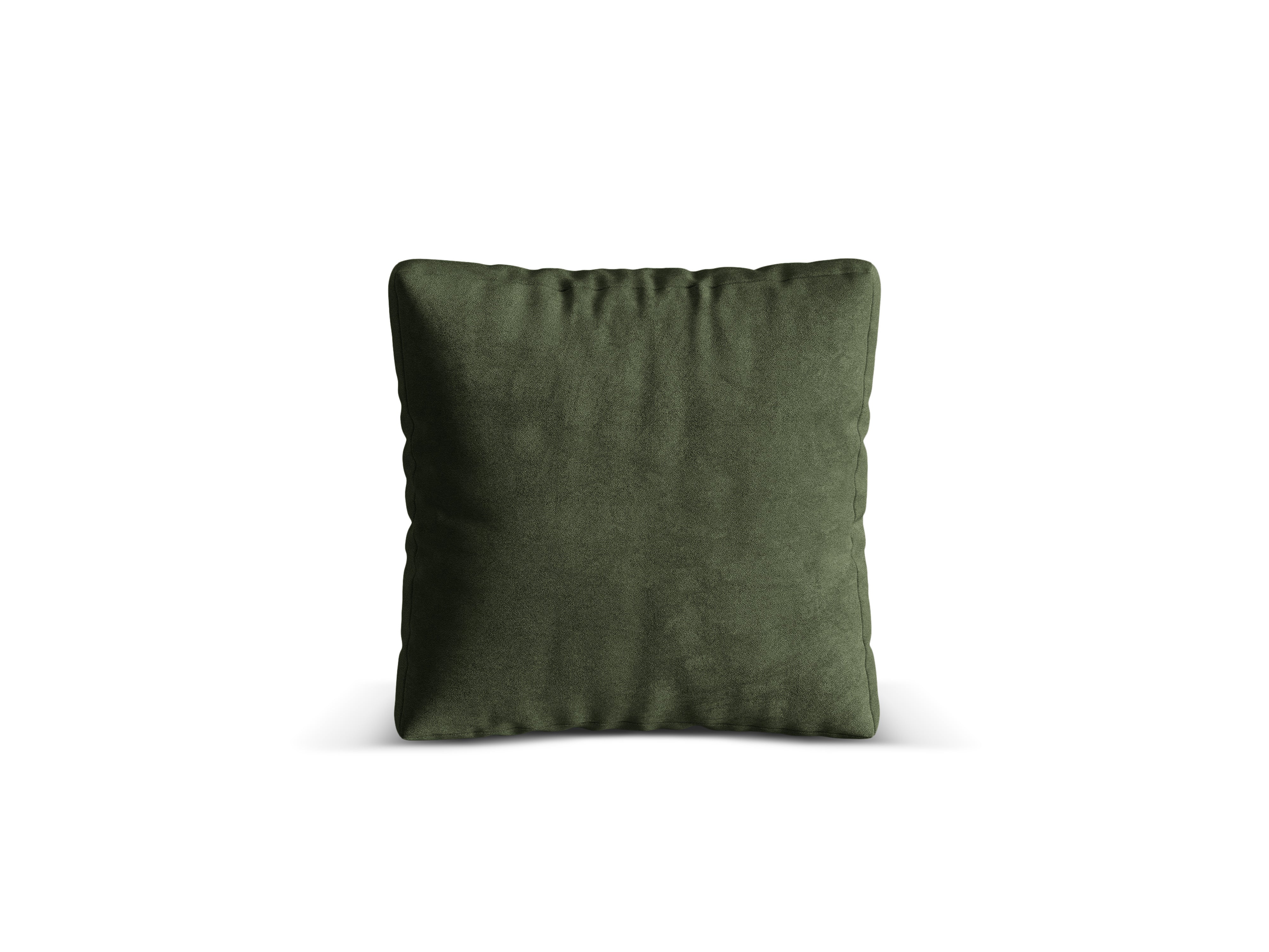 Martina Green velvet pillow