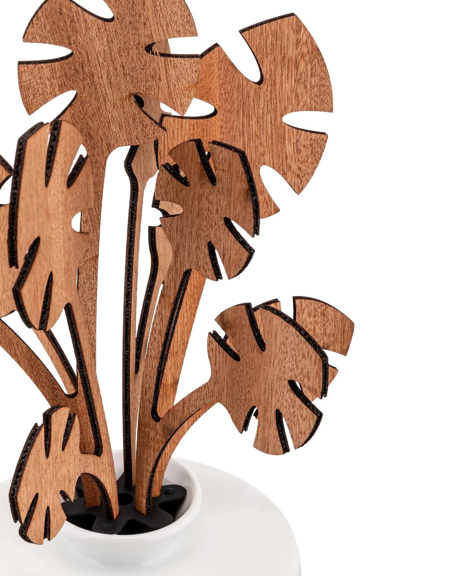 Fünf Jahreszeiten Diffusor - Hmm Holznoten, Feigen und rote Früchte