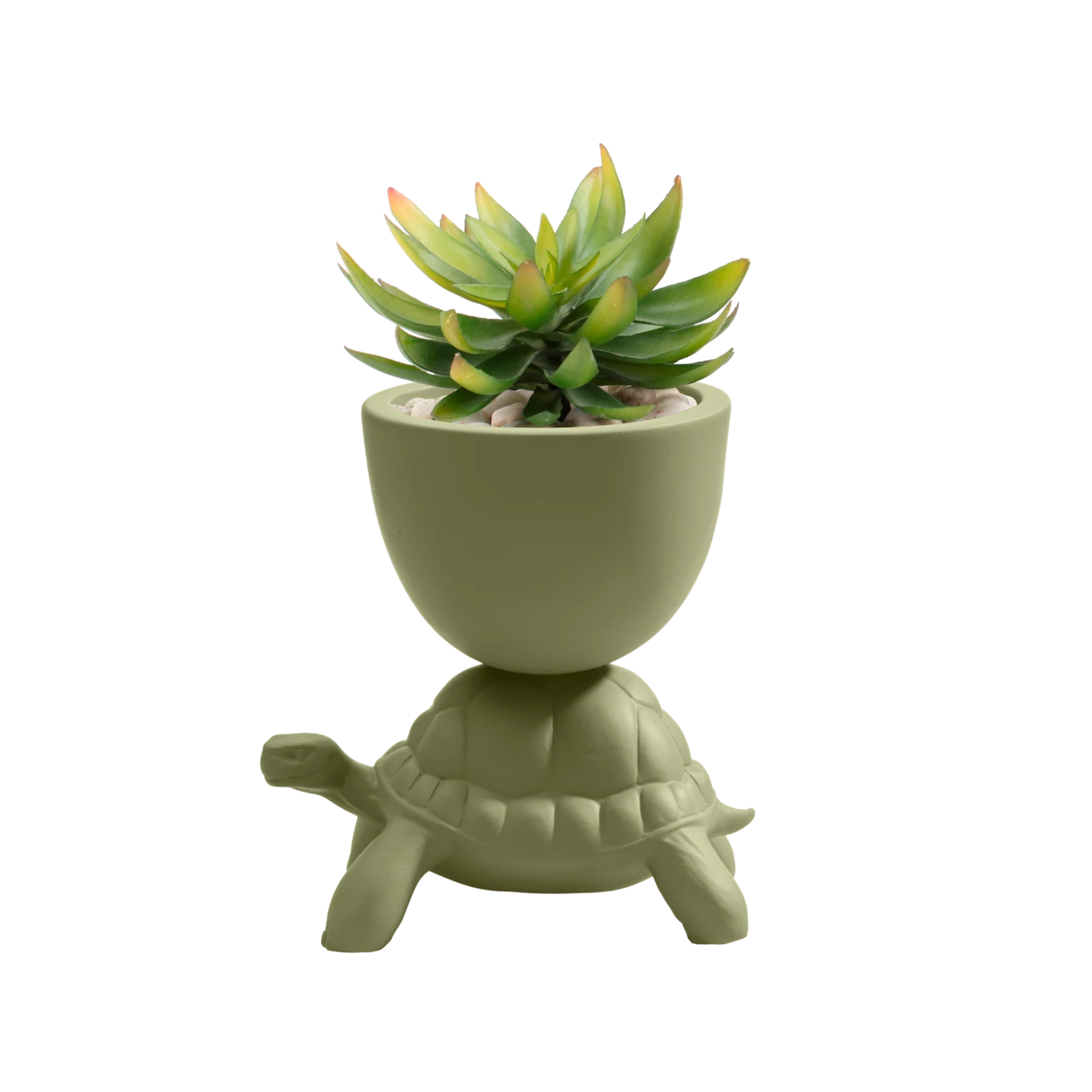 Blumentopf TURTLE CARRY grün