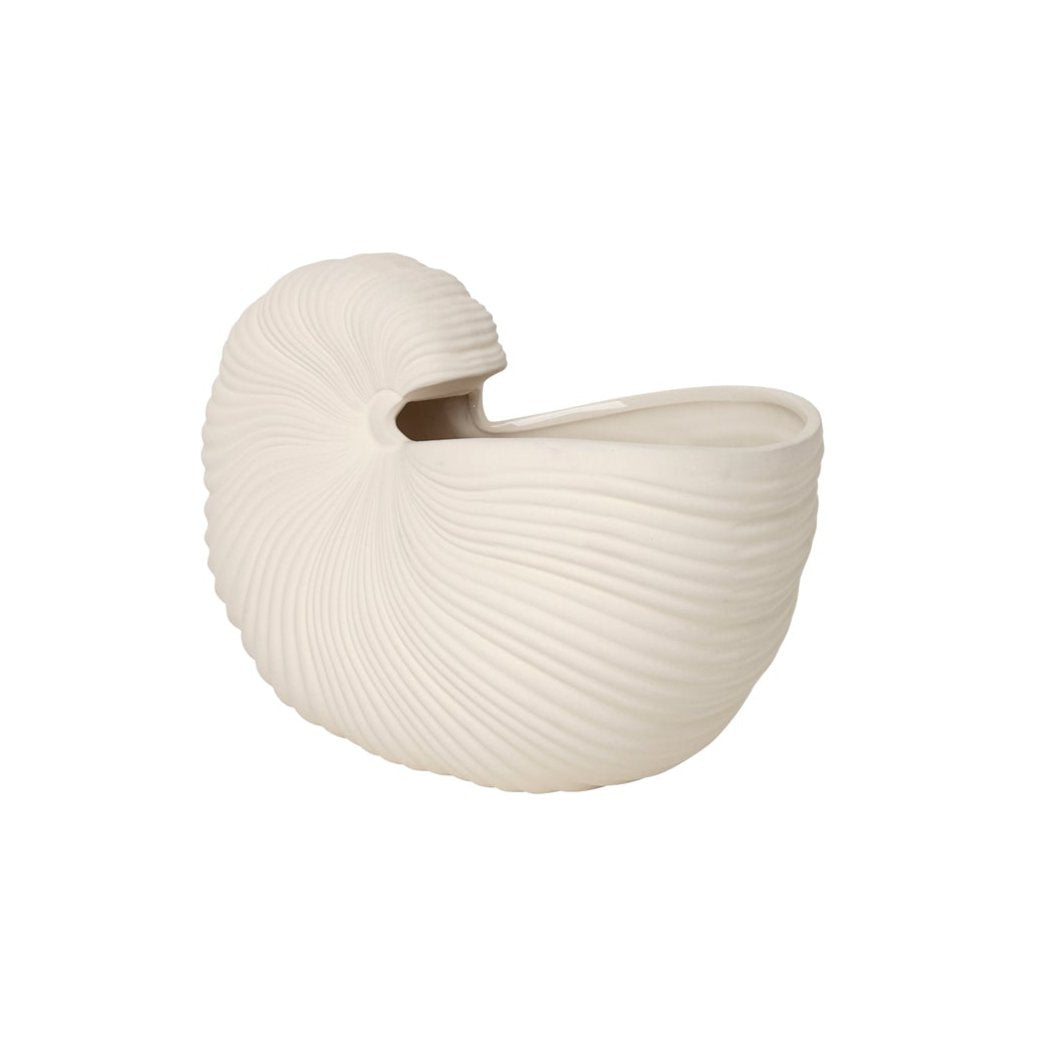 Vase shell sweat broken white