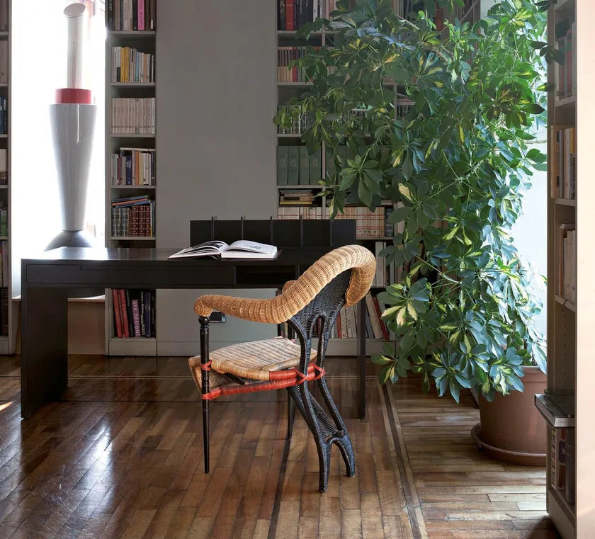 LIBA Rattan Chair