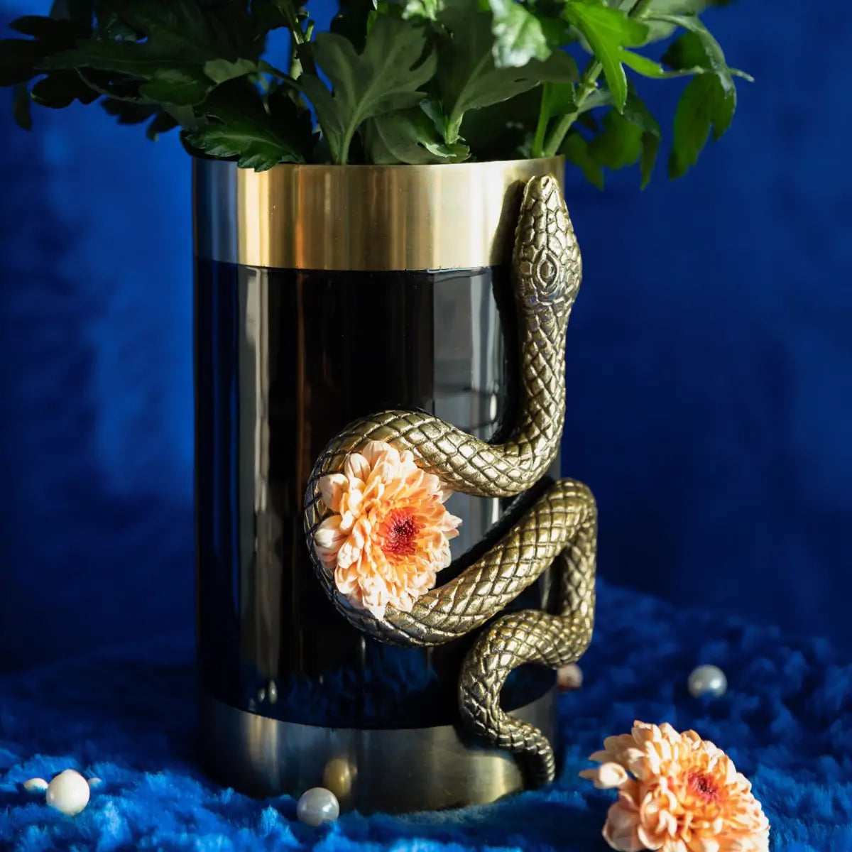 Wazon NEVER HURT A SNAKE VASE czarny ze złotym