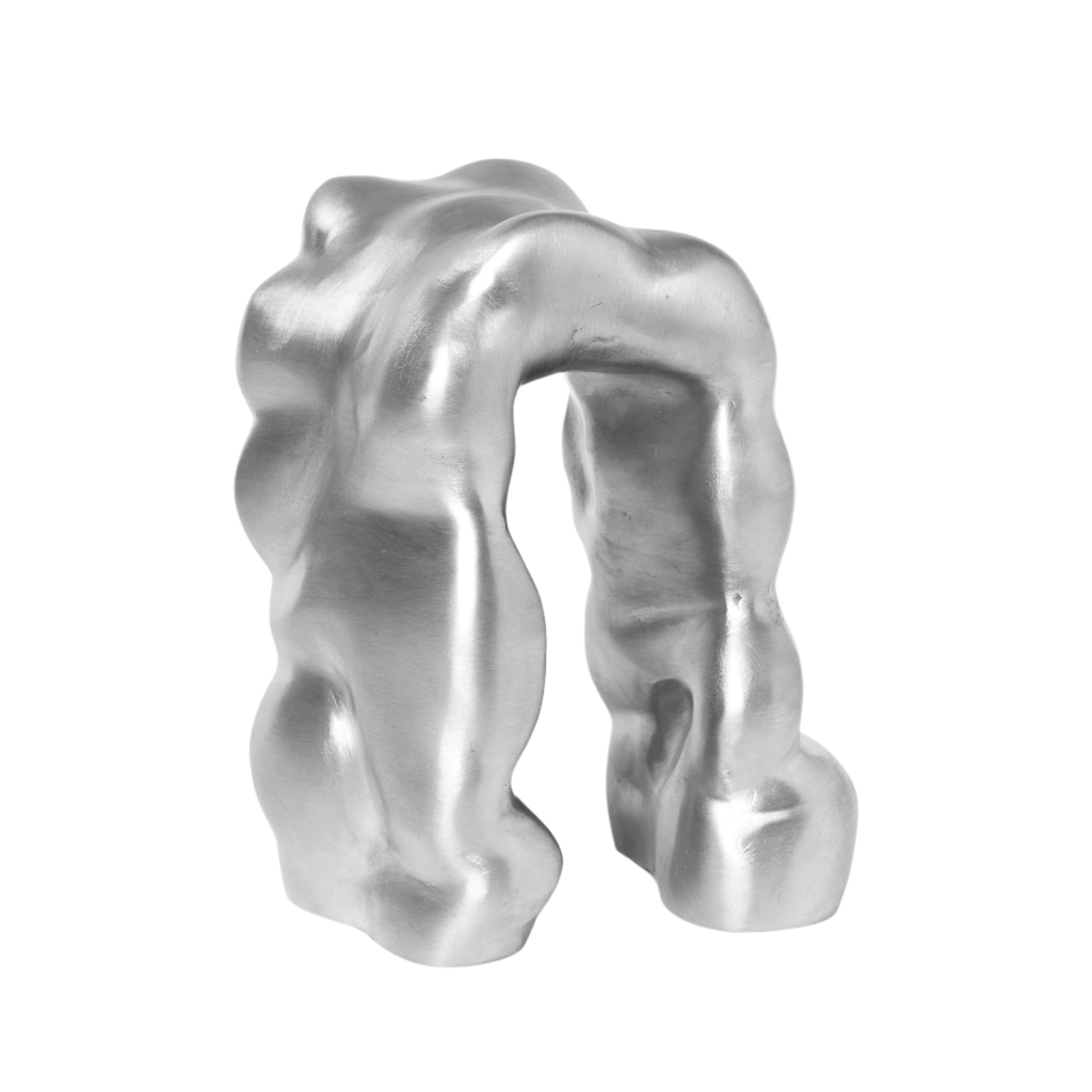 Dekoracja MORF SCULPTURE szczotkowane aluminium