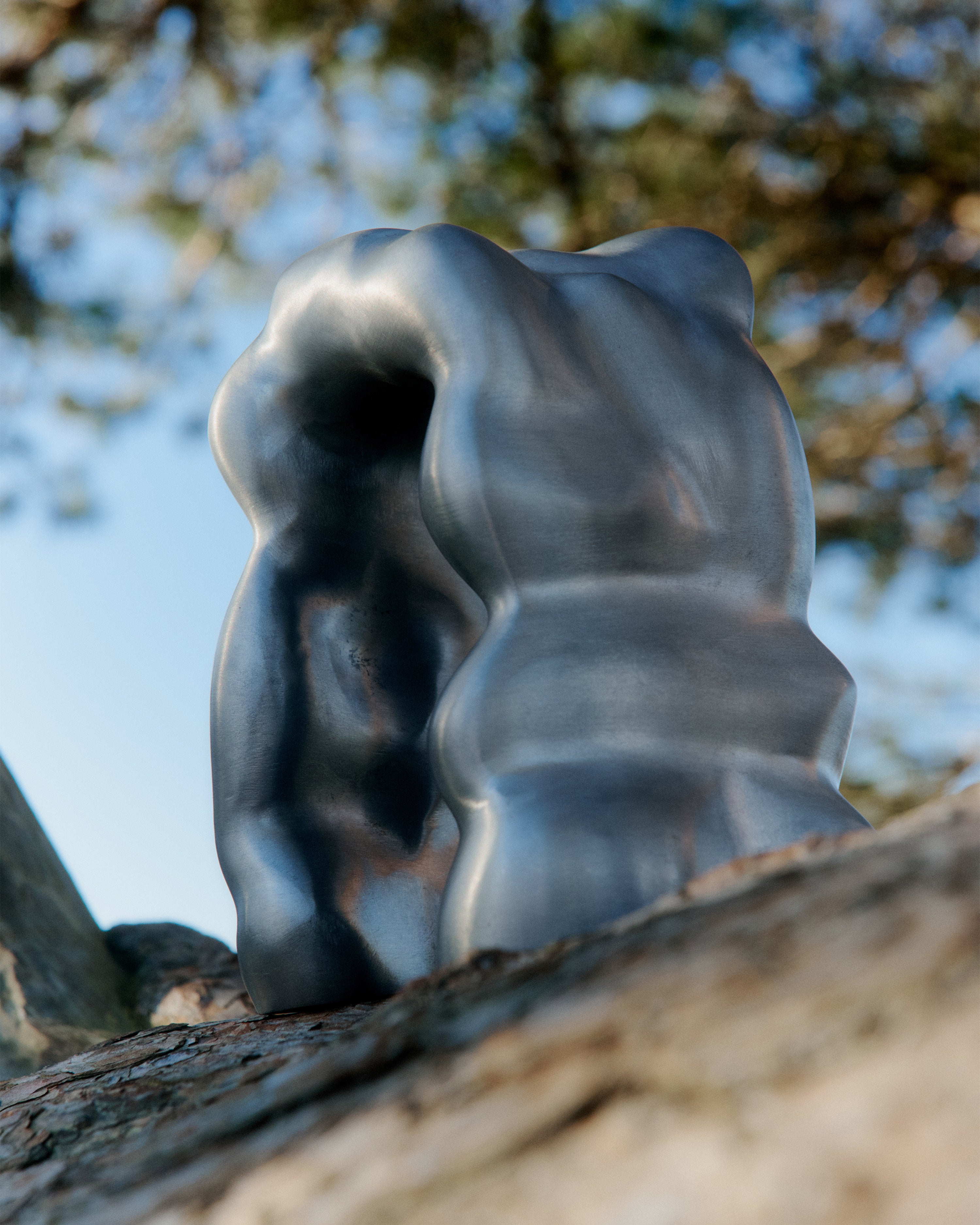 Dekoracja MORF SCULPTURE szczotkowane aluminium