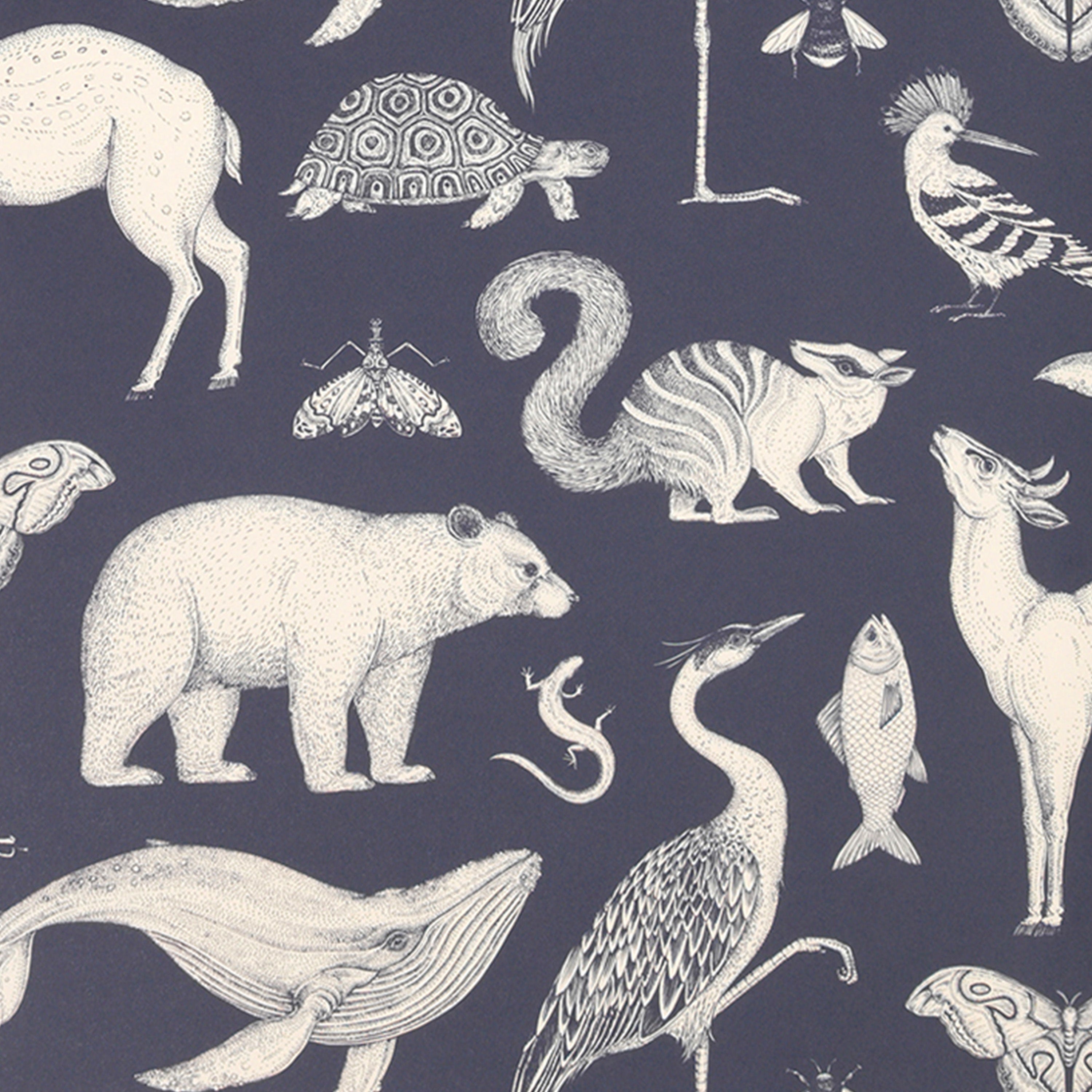 Tapeta KATIE SCOTT - ANIMALS ciemnoniebieski