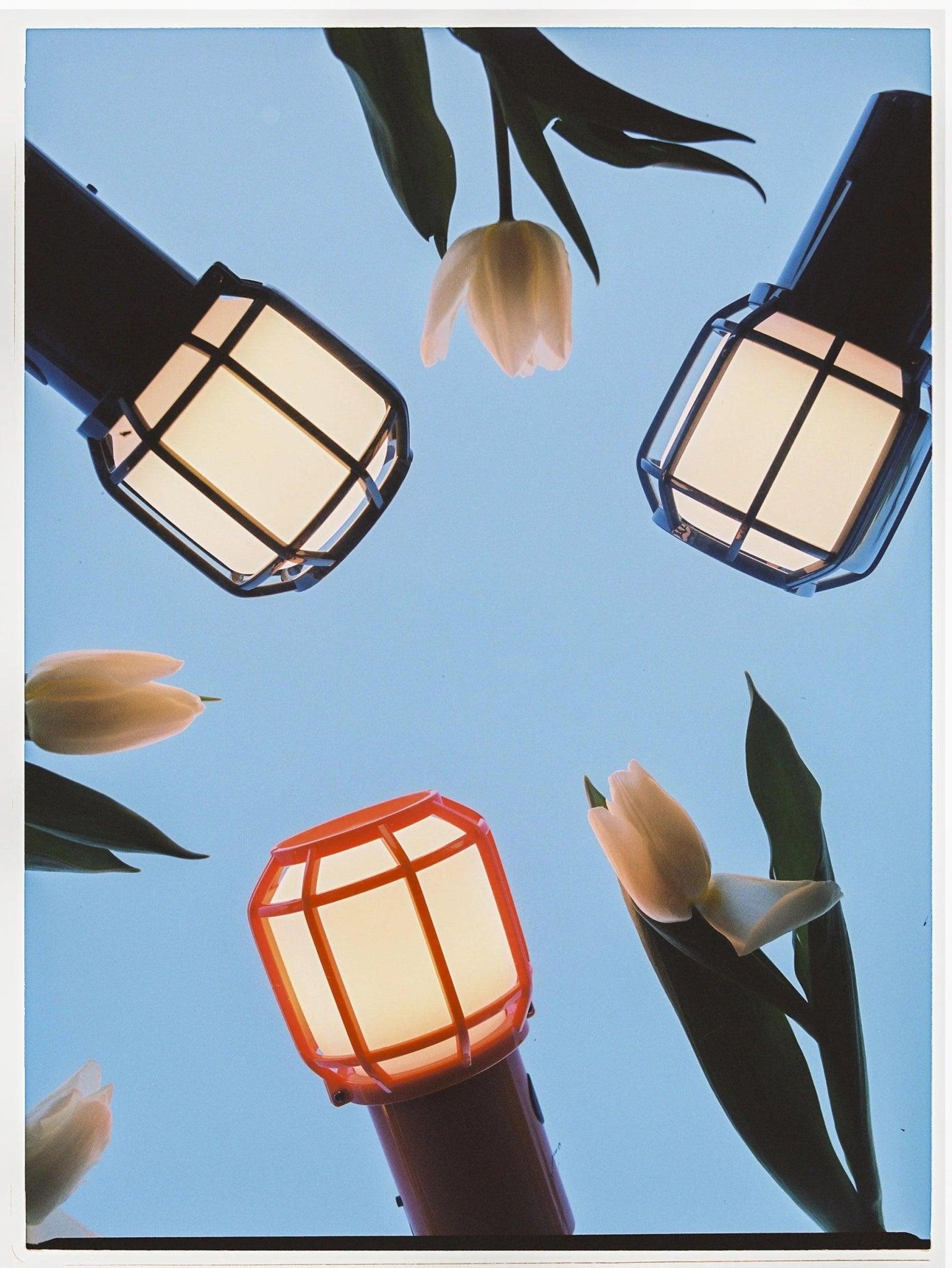 Lampa akumulatorowa CHISPA czarny Marset Eye on Design