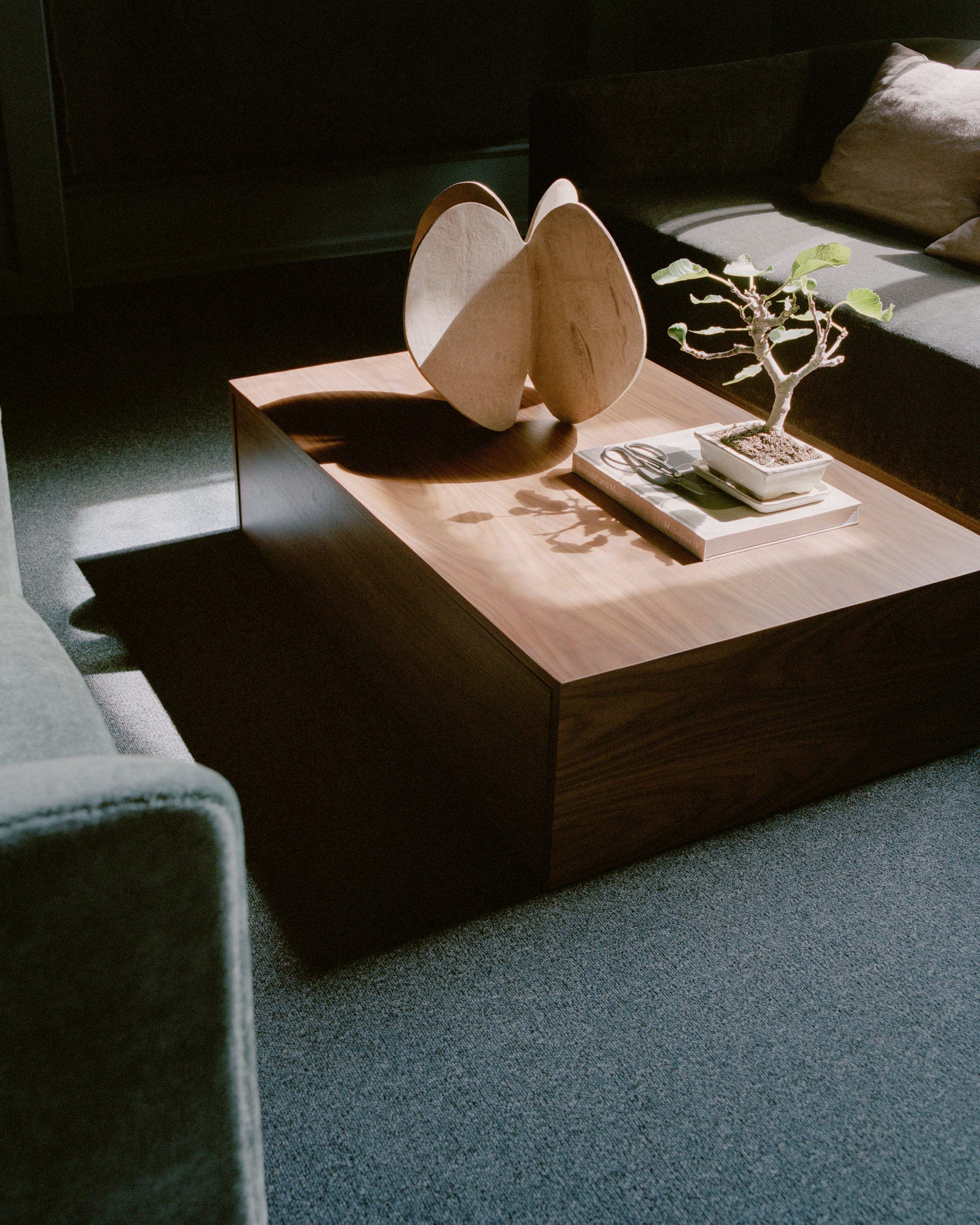 Coffee table with a drawer MASS Walnut veneer