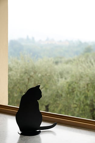 Dekoracja OMBRES DE CHATS czarny