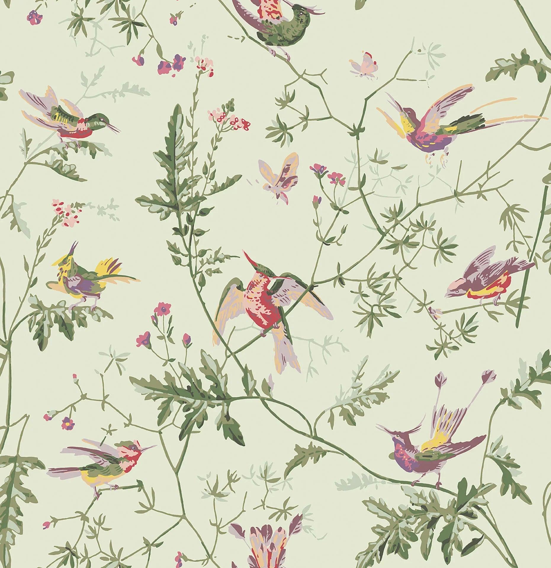 Tapeta ARCHIVE ANTHOLOGY - Hummingbirds oliwkowy na ciepłej zielony Cole & Son Eye on Design