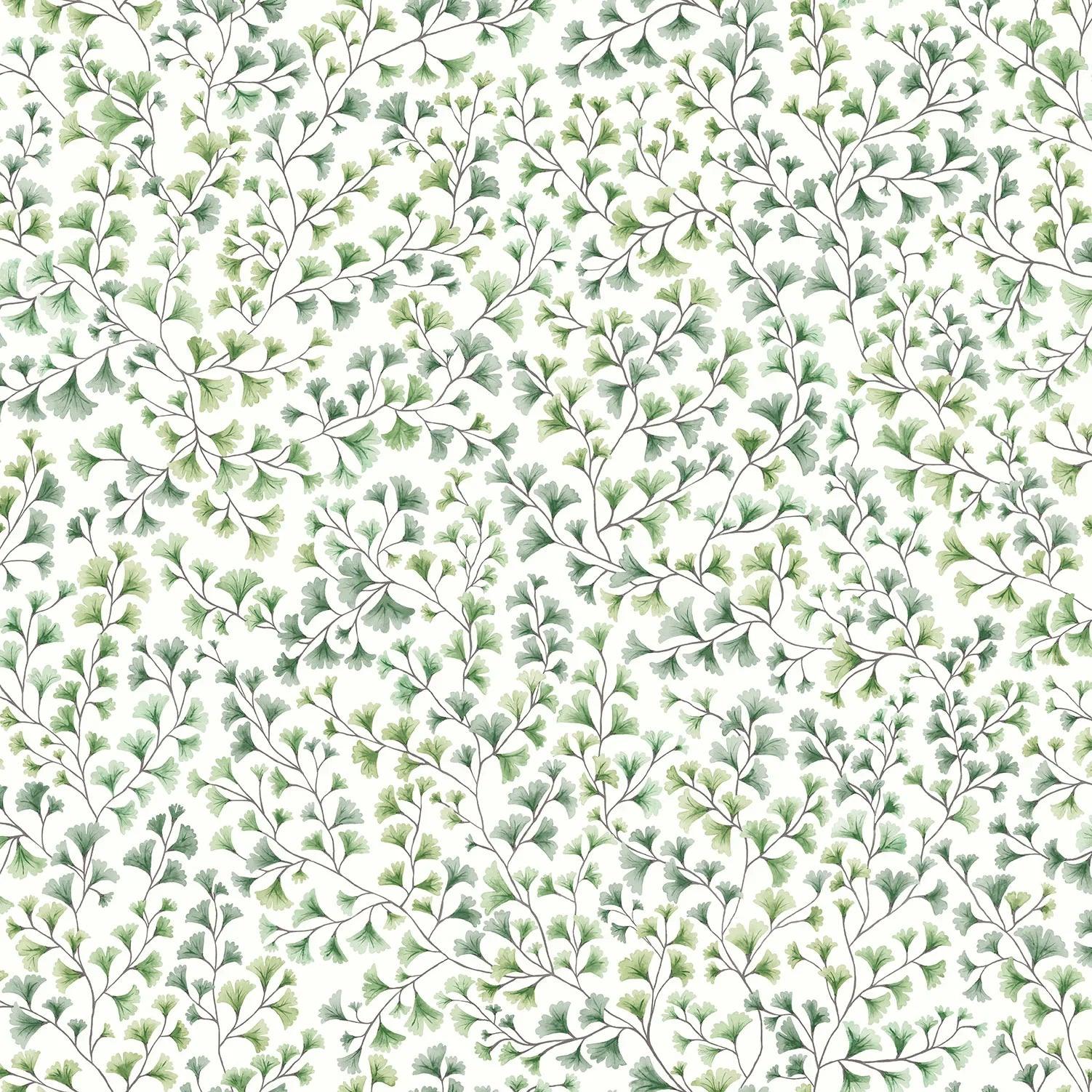 Tapeta BOTANICAL BOTANICA - Maidenhair oliwka Cole & Son Eye on Design