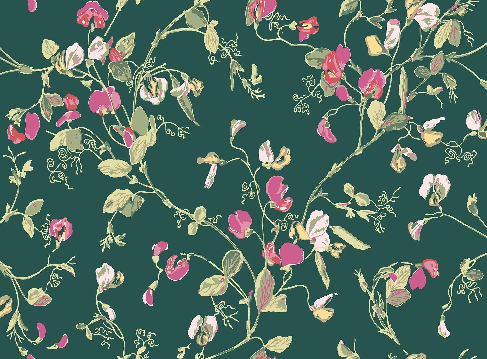 Tapeta BOTANICAL BOTANICA - Sweet Pea zielony Cole & Son Default Title Eye on Design