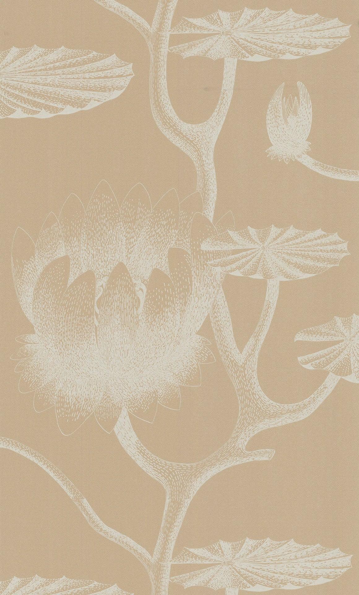 Tapeta CONTEMPORARY RESTYLED - Lily piaskowy Cole & Son Default Title Eye on Design