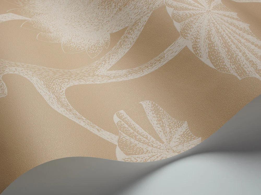 Tapeta CONTEMPORARY RESTYLED - Lily piaskowy Cole & Son Eye on Design