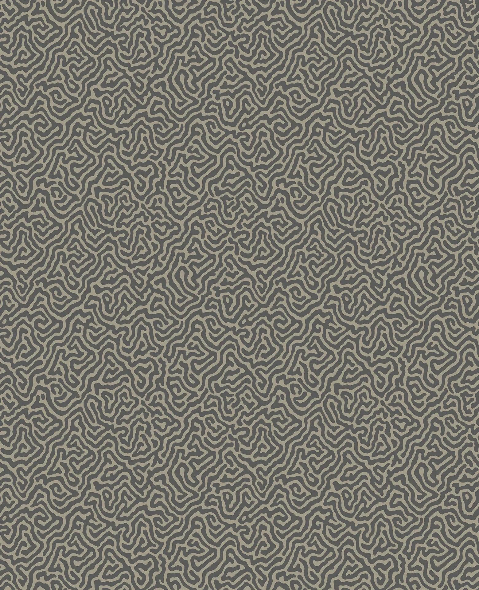Tapeta CURIO - Vermicelli czarny Cole & Son Eye on Design
