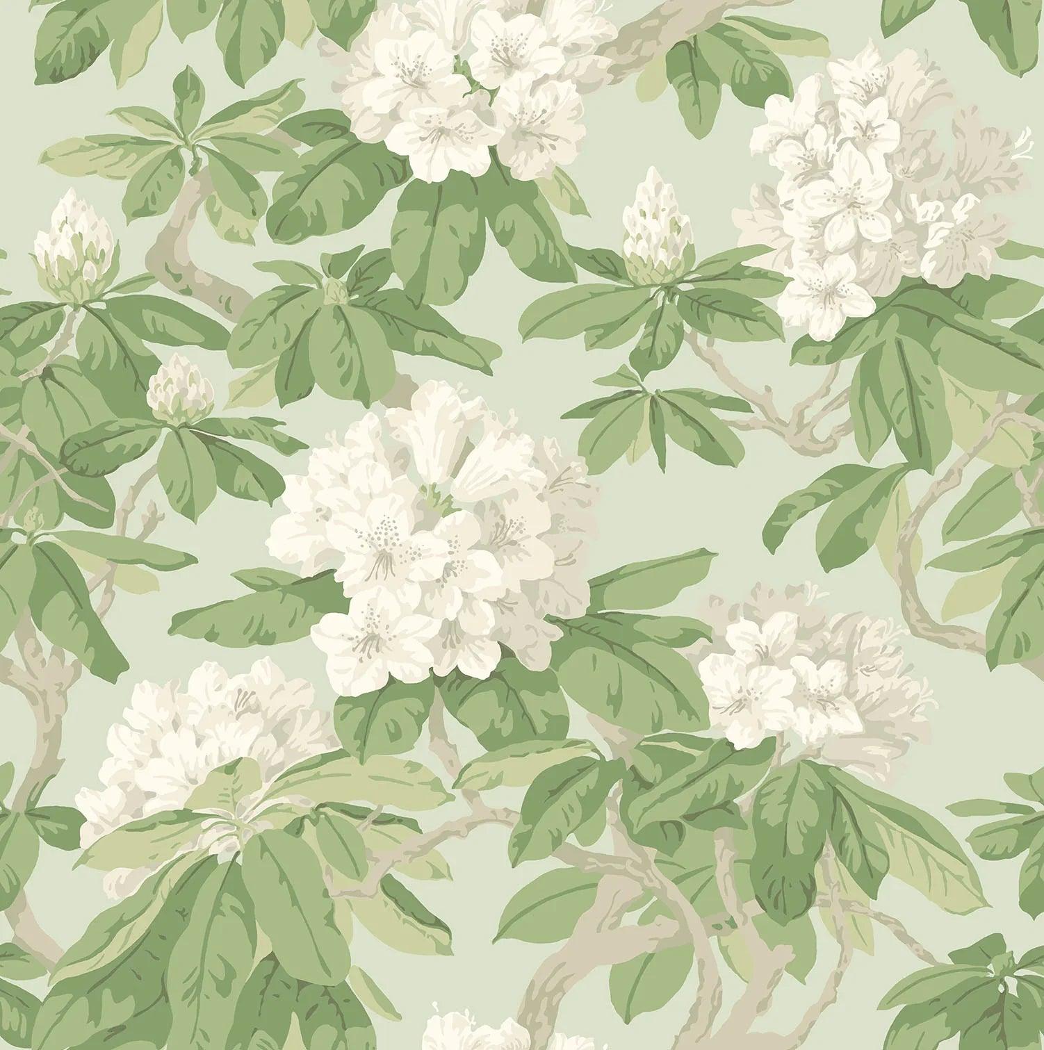 Tapeta FOLIE - Bourlie biel na zieleni Cole & Son Eye on Design