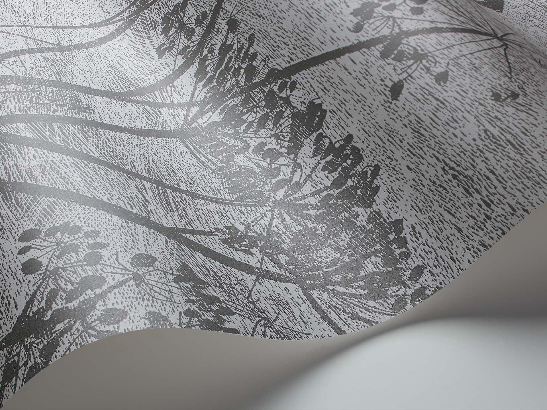 Tapeta ICONS - Cow Parsley czarny Cole & Son Eye on Design