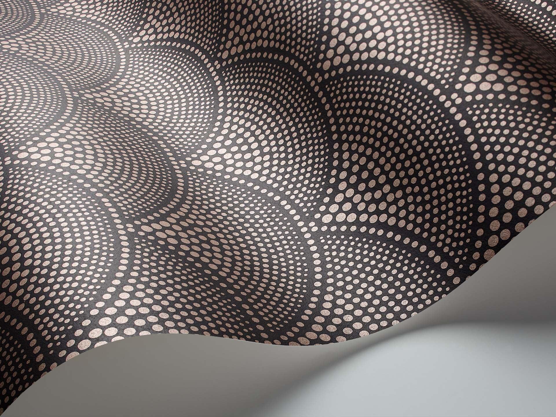 Tapeta ICONS - Feather Fan czarny Cole & Son Eye on Design