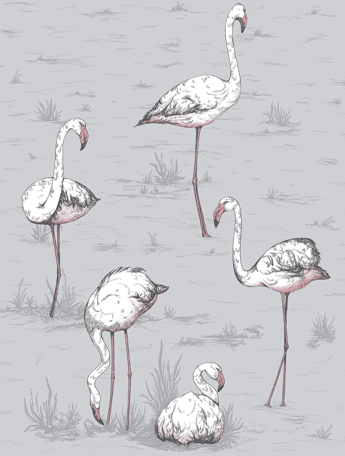 Tapeta ICONS - Flamingos niebieski Cole & Son Eye on Design