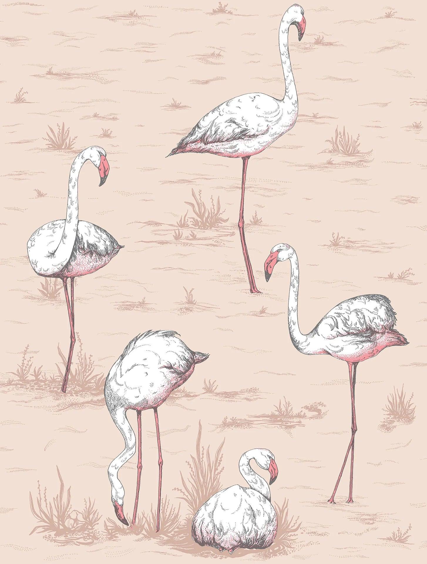 Tapeta ICONS - Flamingos różowy Cole & Son Eye on Design