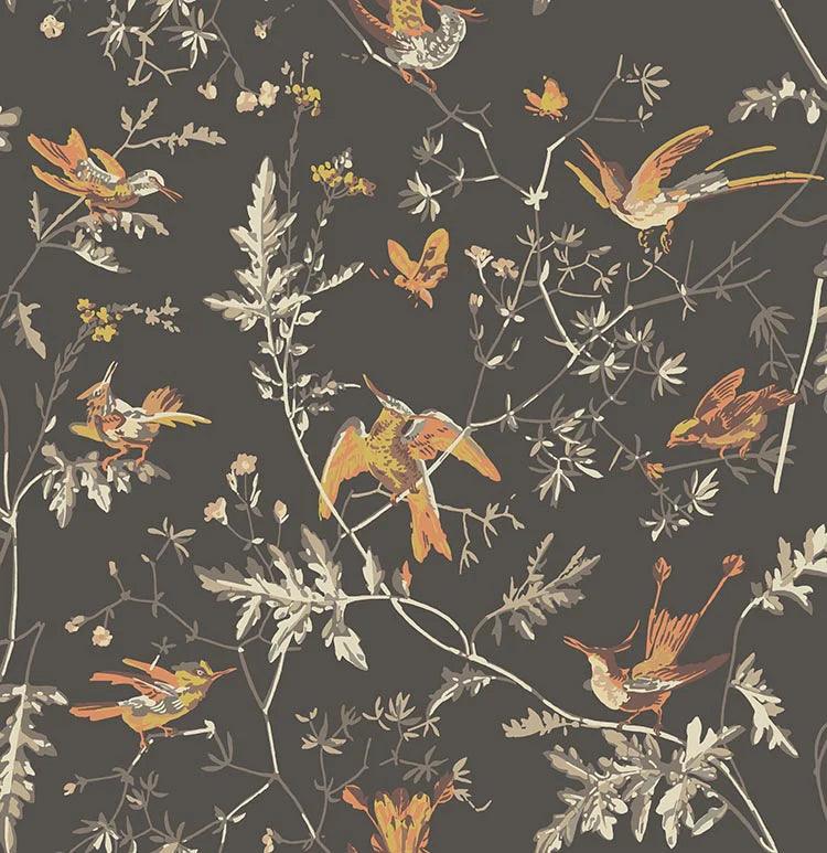 Tapeta ICONS - Hummingbirds brązowy Cole & Son Eye on Design