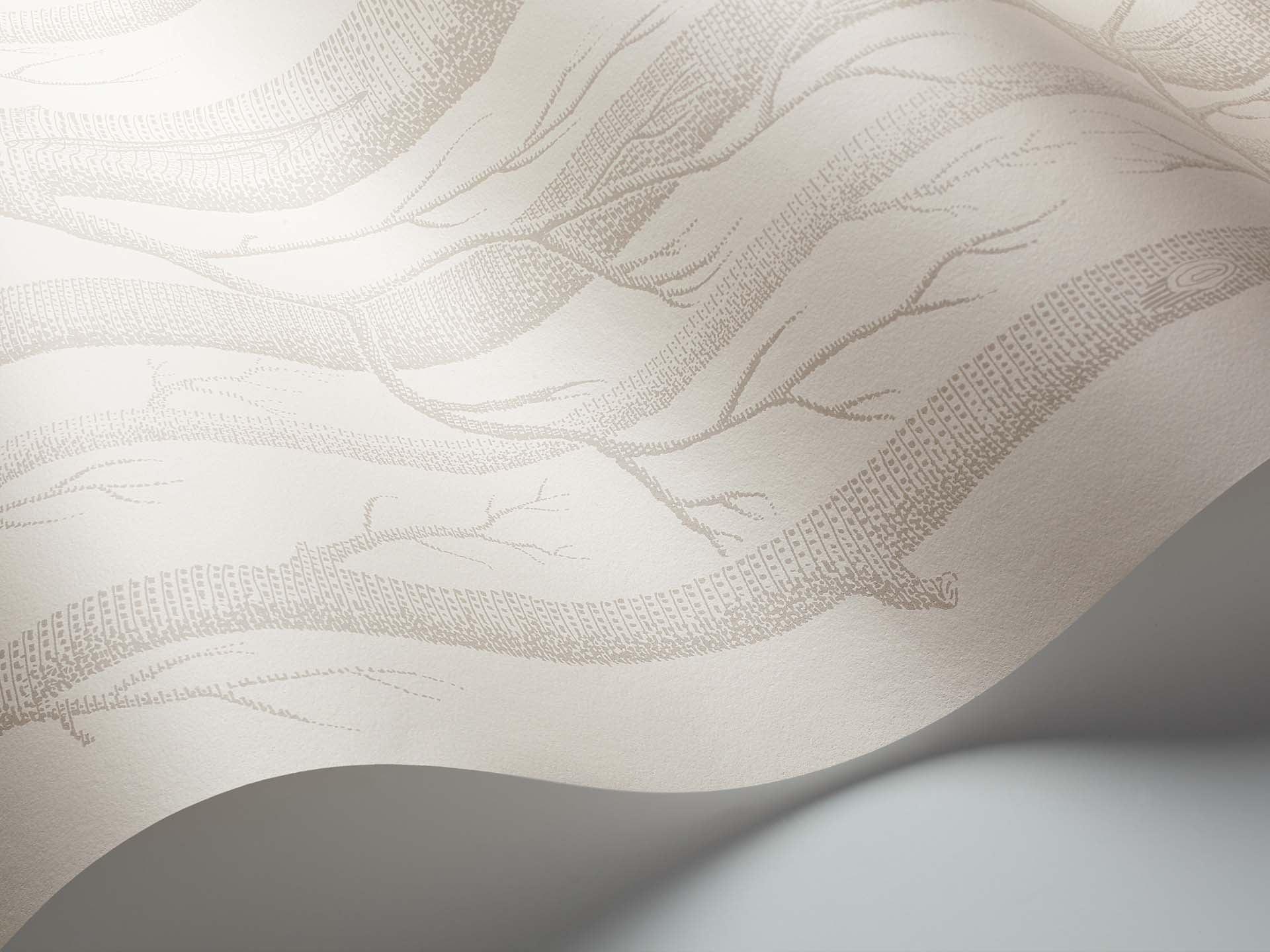 Tapeta ICONS - Woods szary na beżu Cole & Son Eye on Design
