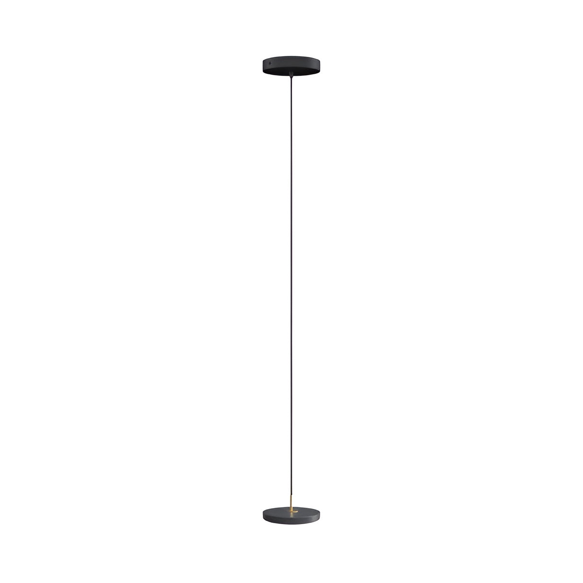 ASTERIA MICRO pendant lamp in anthracite with a gold insert