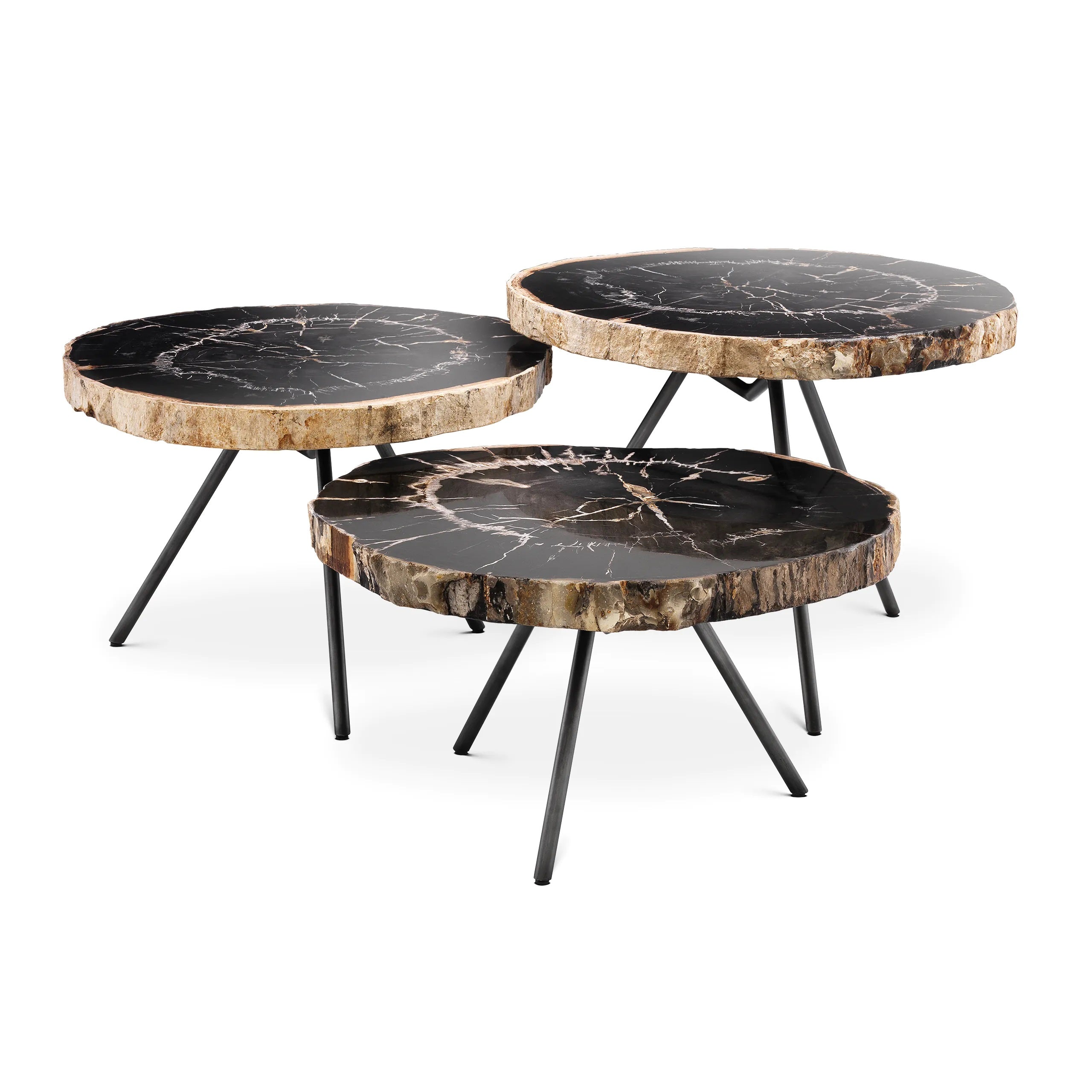 Zestaw stolików kawowych DE SOTO ciemne skamieniałe drewno Eichholtz    Eye on Design