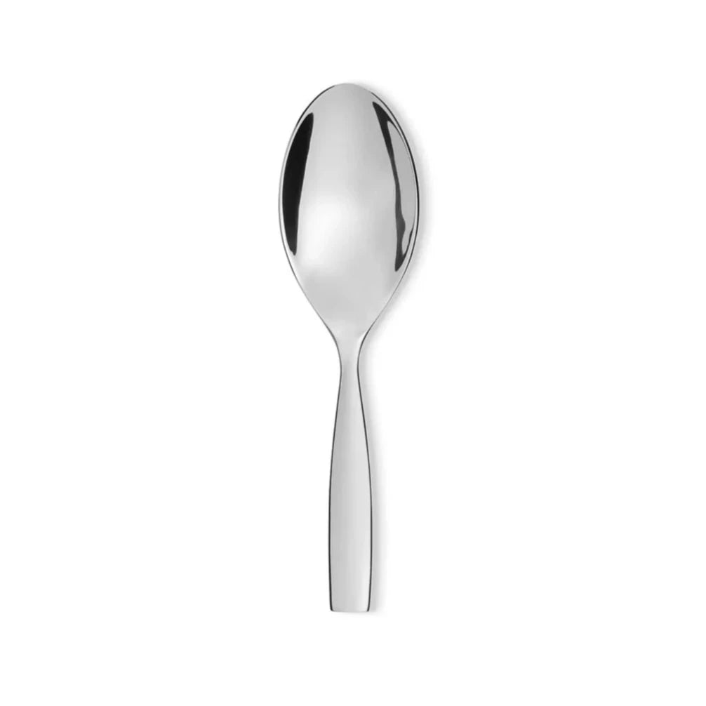 Dressed Steel Steel spoon stainless steel