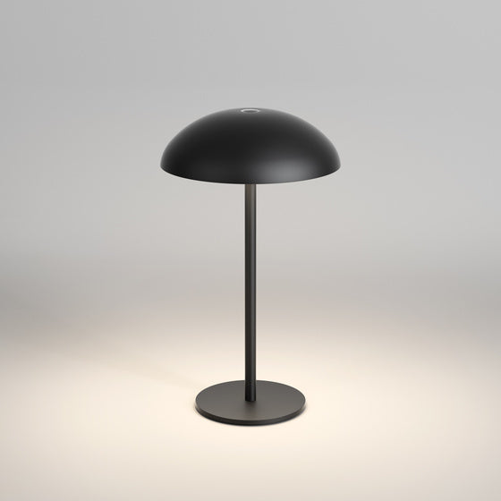 Black battery lamp