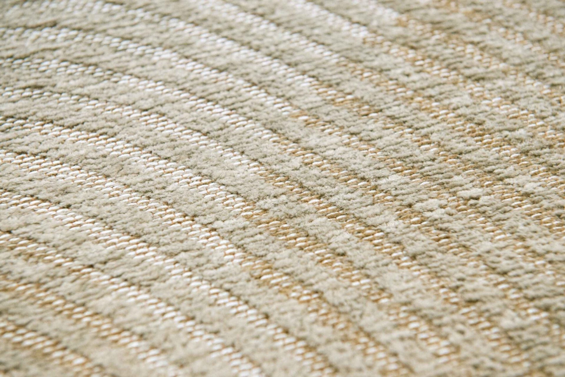 Korallenschale beige beige Teppich