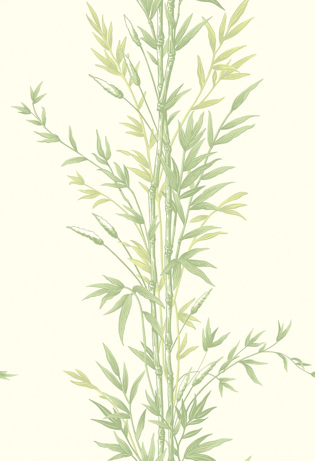 Tapeta ARCHIVE ANTHOLOGY - Bamboo zielony na bieli Cole & Son Default Title   Eye on Design