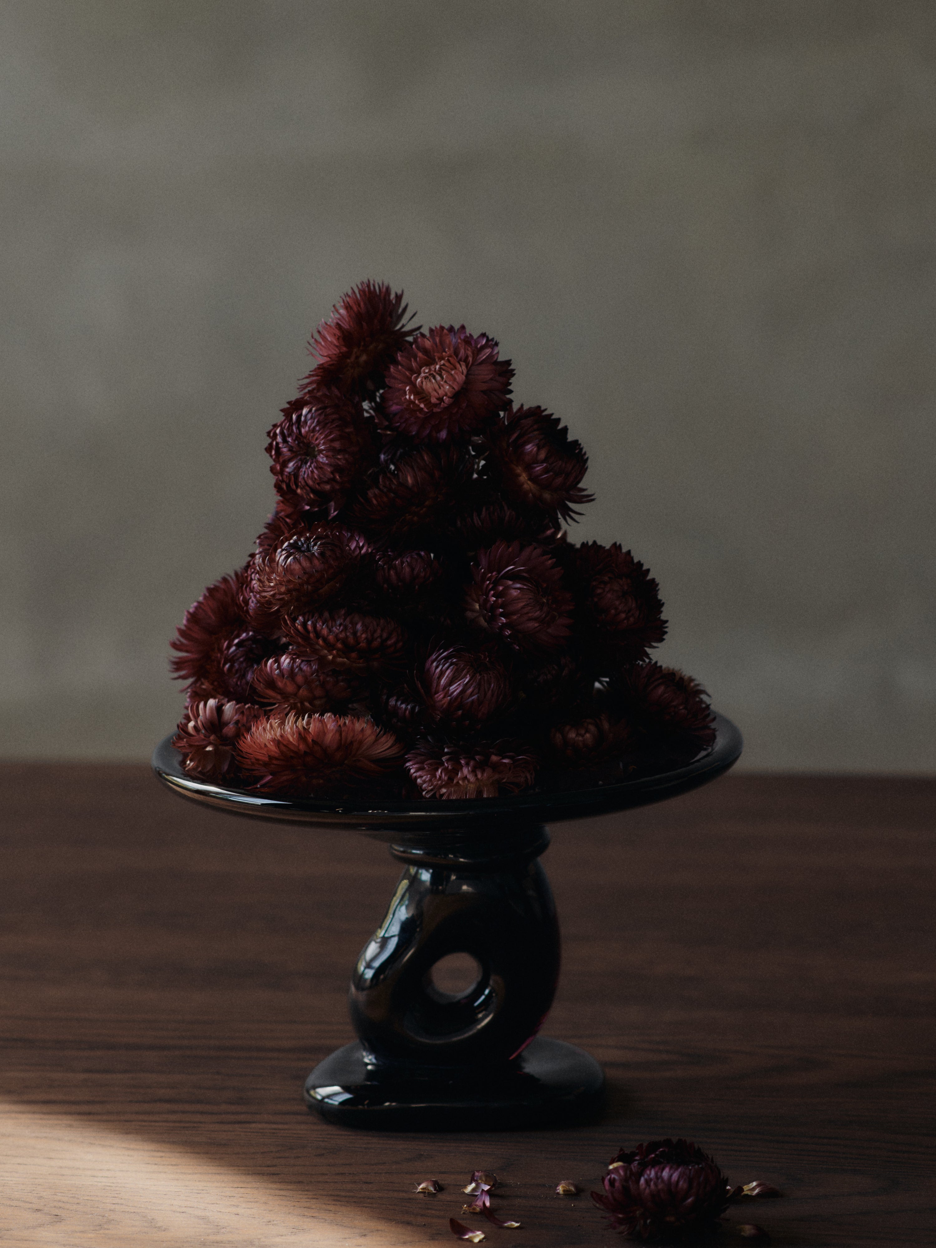 Patera DAMO burgundy [Klaudia]