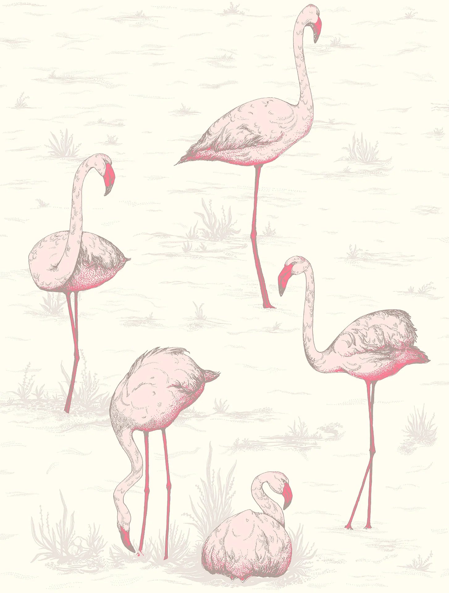 Tapeta CONTEMPORARY COLLECTION - Flamingos różowy Cole & Son Default Title   Eye on Design