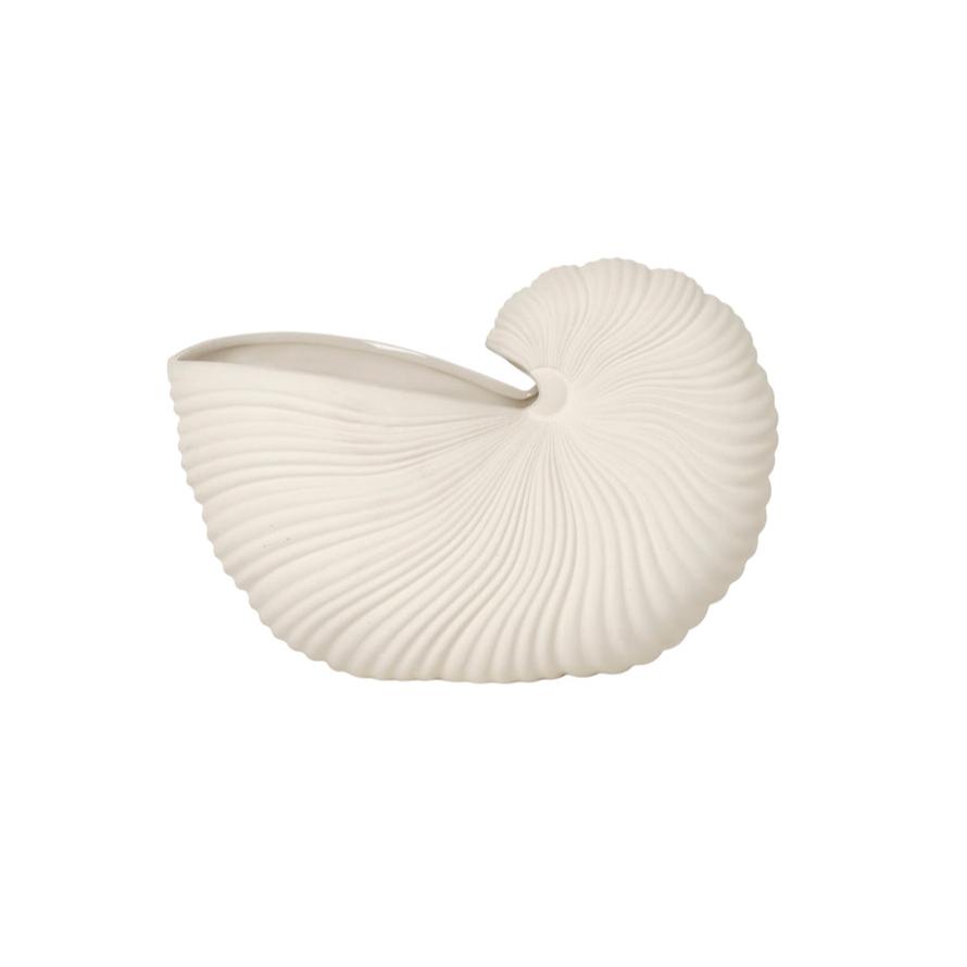 Vase shell sweat broken white