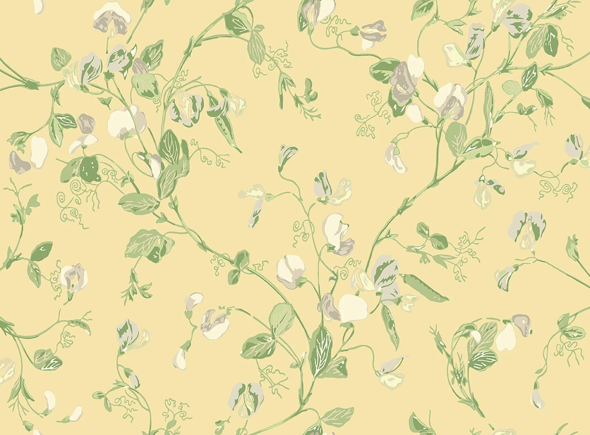 Tapeta ARCHIVE TRADITIONAL - Sweet Pea Cole & Son    Eye on Design
