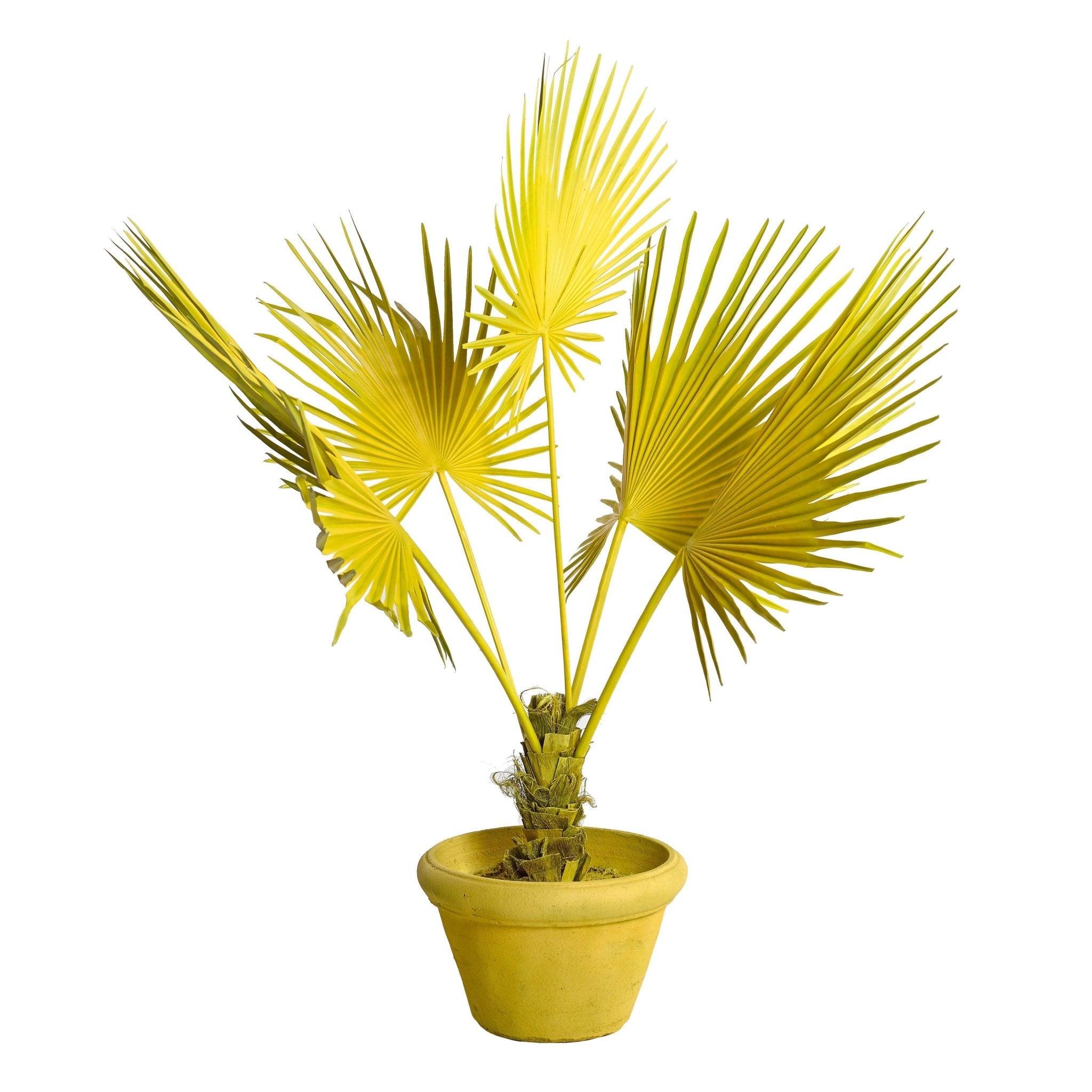 Dekoracja FAN PALM IN POT żółty Pols Potten    Eye on Design