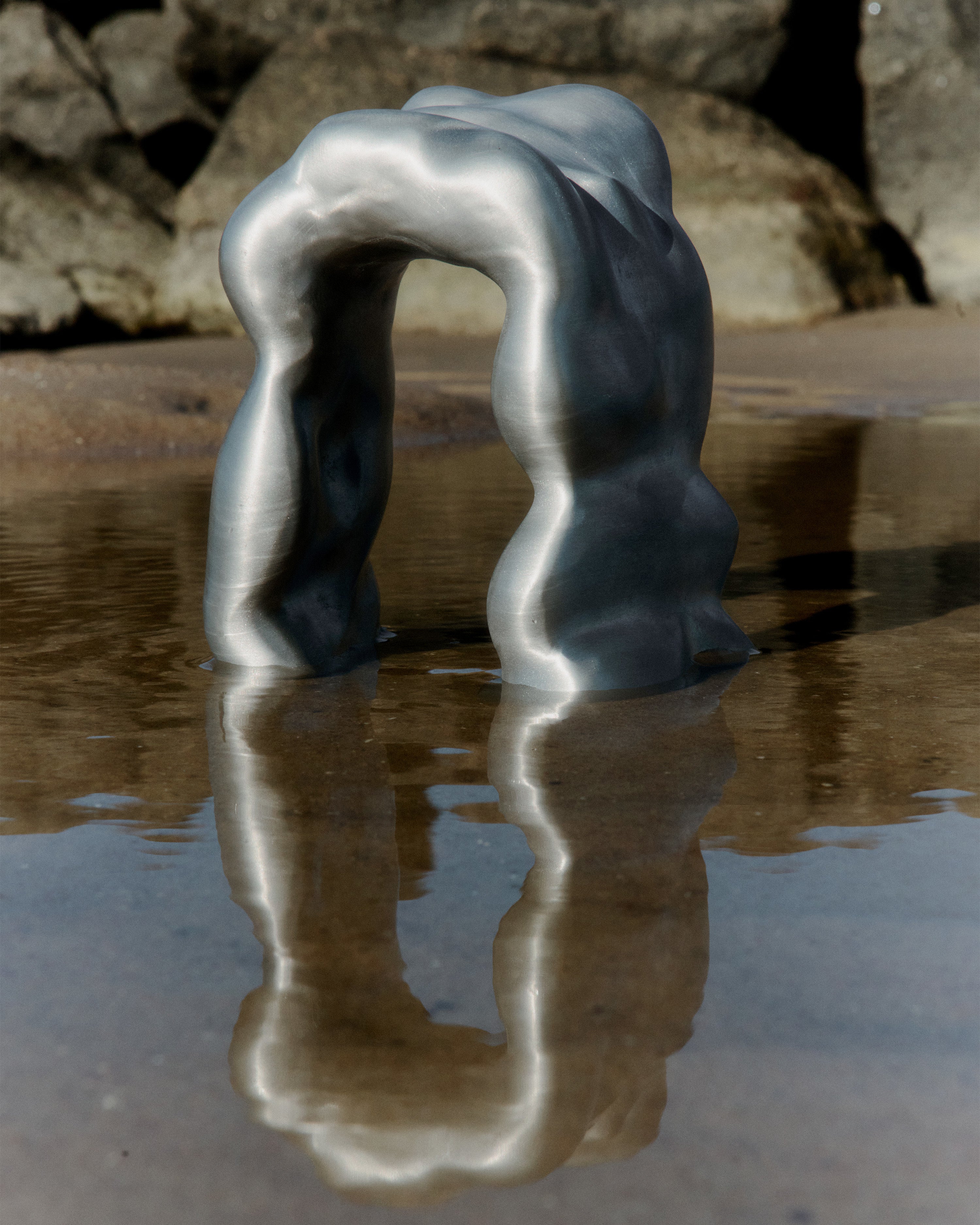 Dekoracja MORF SCULPTURE szczotkowane aluminium