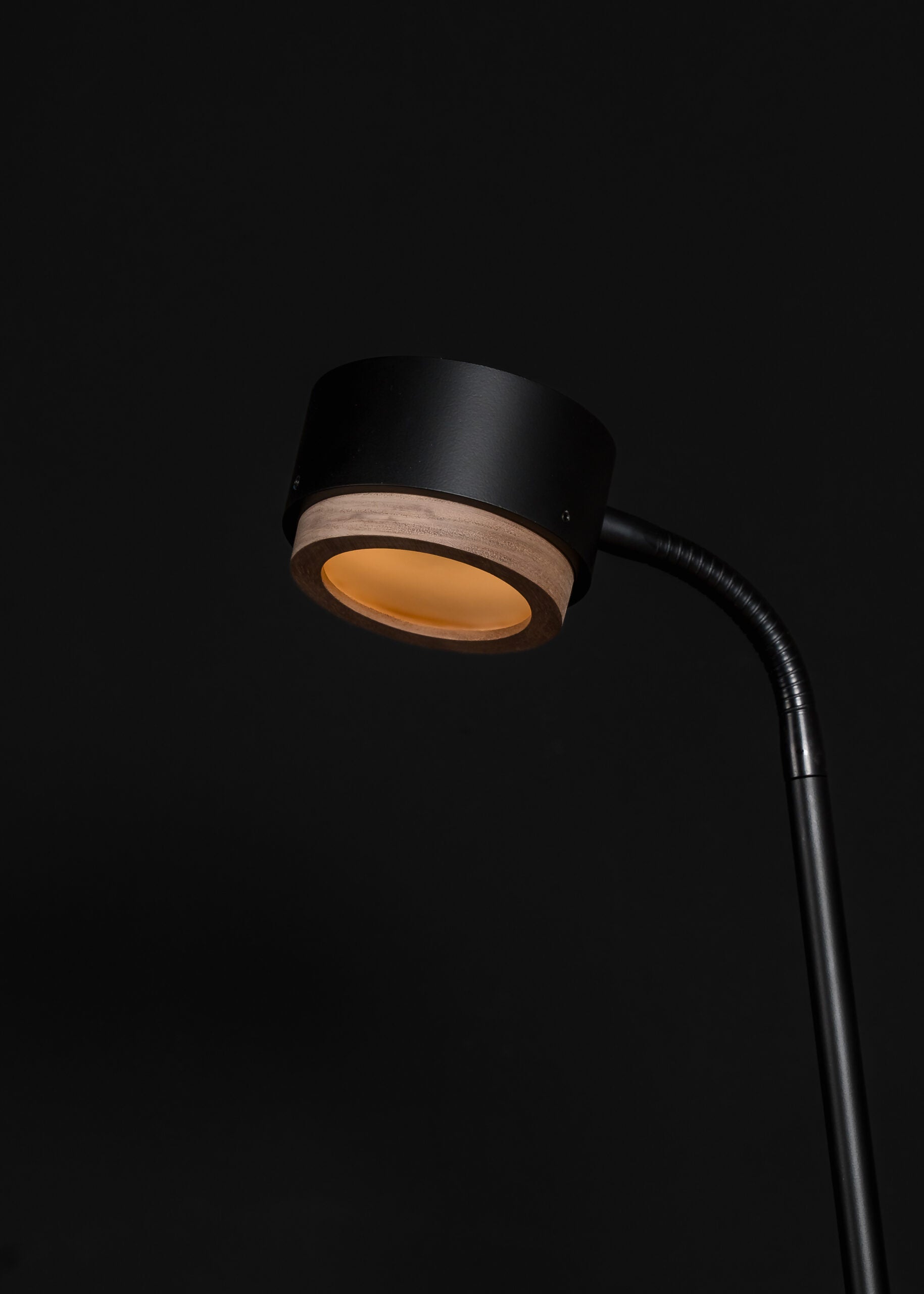 Lampa podłogowa JUBI aluminium z drewnem orzechowym