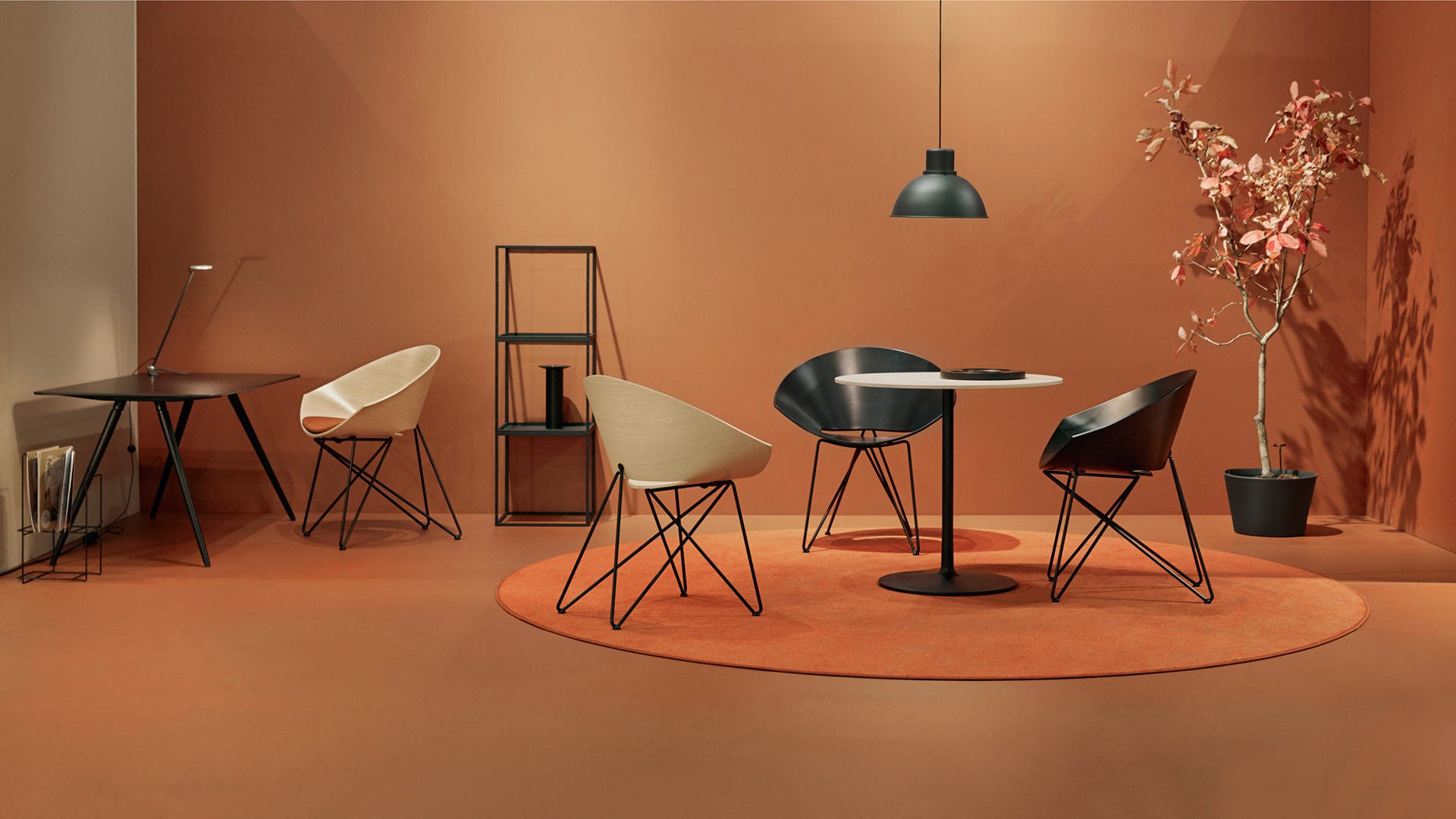 Krzesło RM56 buk Vzór    Eye on Design