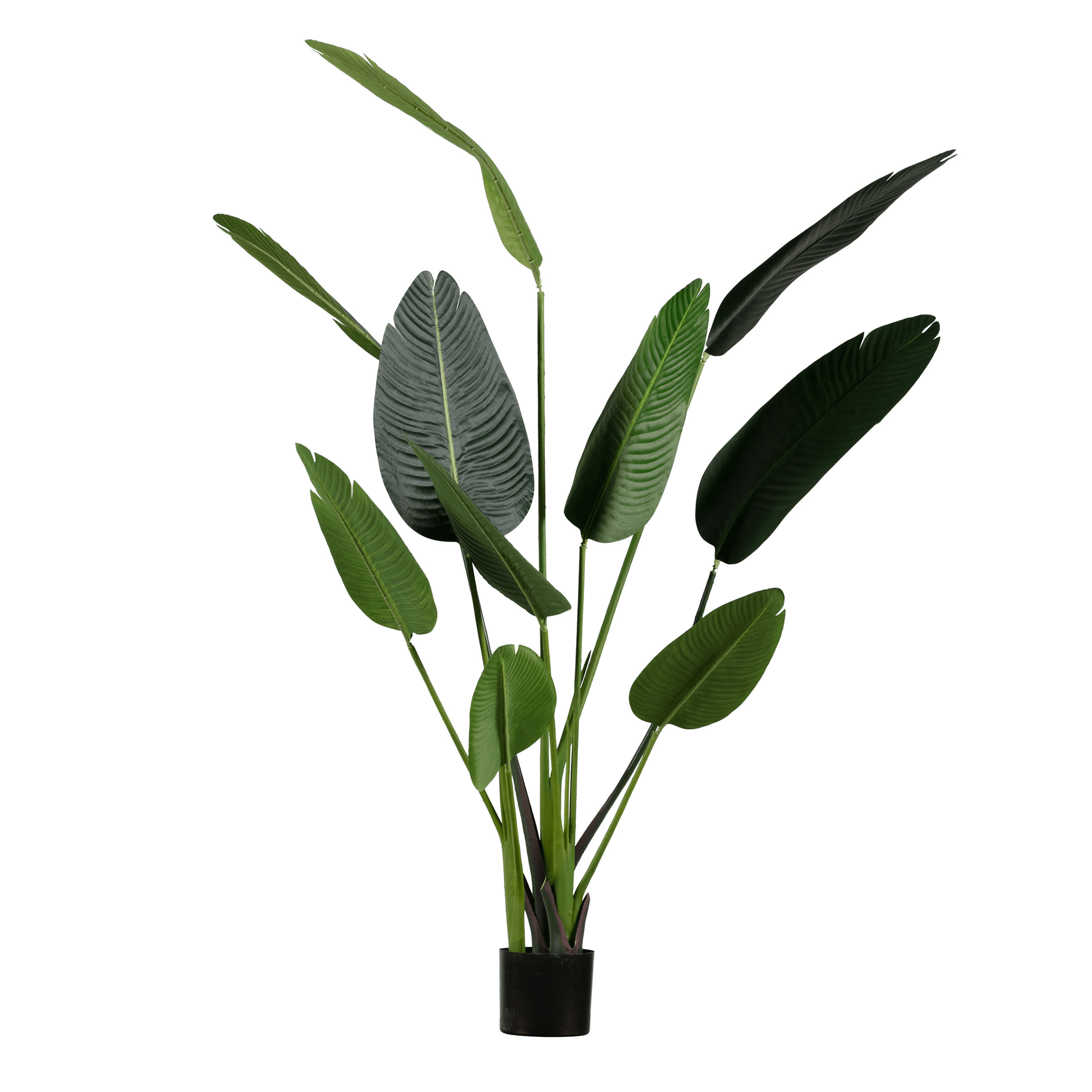 Sztuczna roślina STRELICJA zielony Woood 164 cm   Eye on Design
