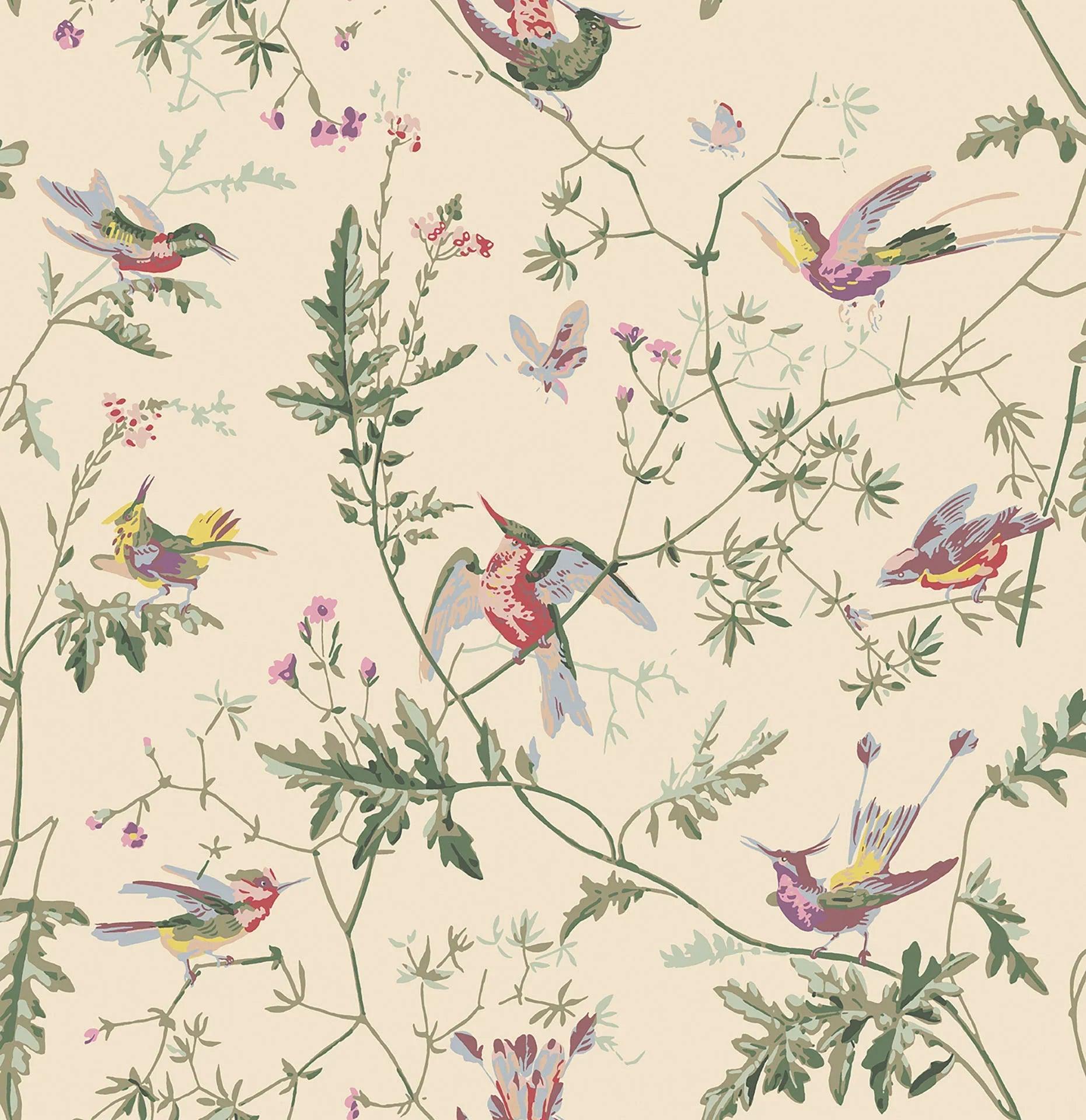 Tapeta ARCHIVE ANTHOLOGY - Hummingbirds oliwkowy na kremowym Cole & Son    Eye on Design