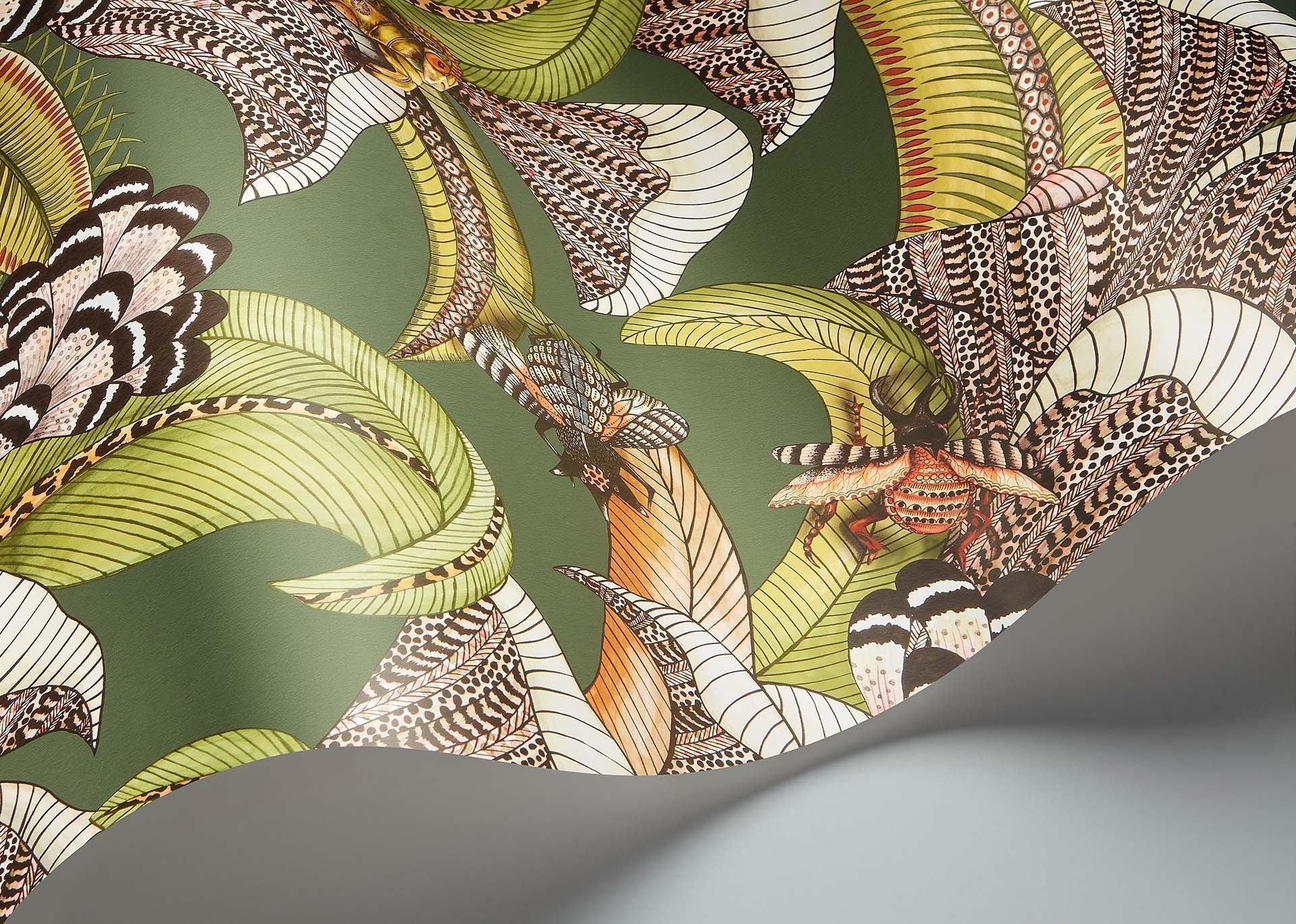 Tapeta ARDMORE JABULA - Hoopoe Leaves terakota na czarnym Cole & Son    Eye on Design