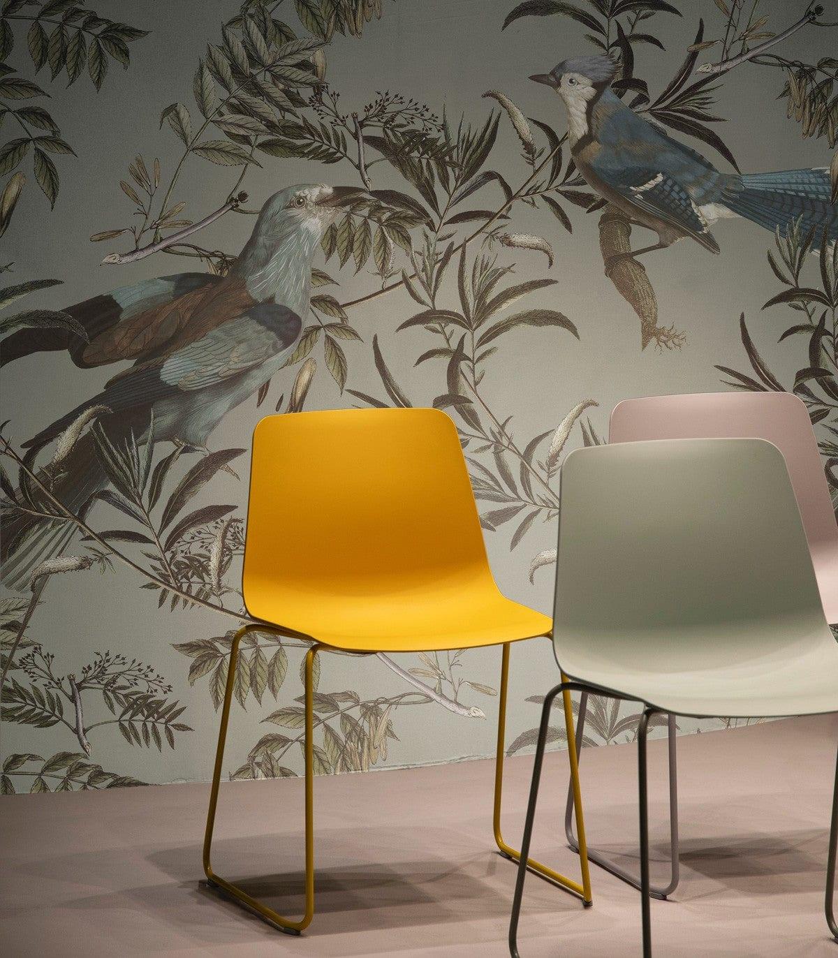 Tapeta BIRDS IN GARDEN Wallcolors    Eye on Design