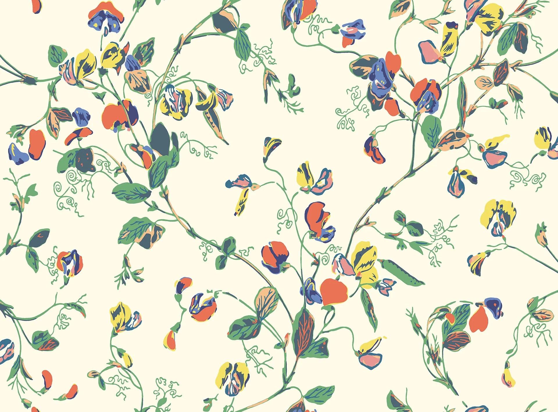 Tapeta BOTANICAL BOTANICA - Sweet Pea kremowy Cole & Son Default Title   Eye on Design