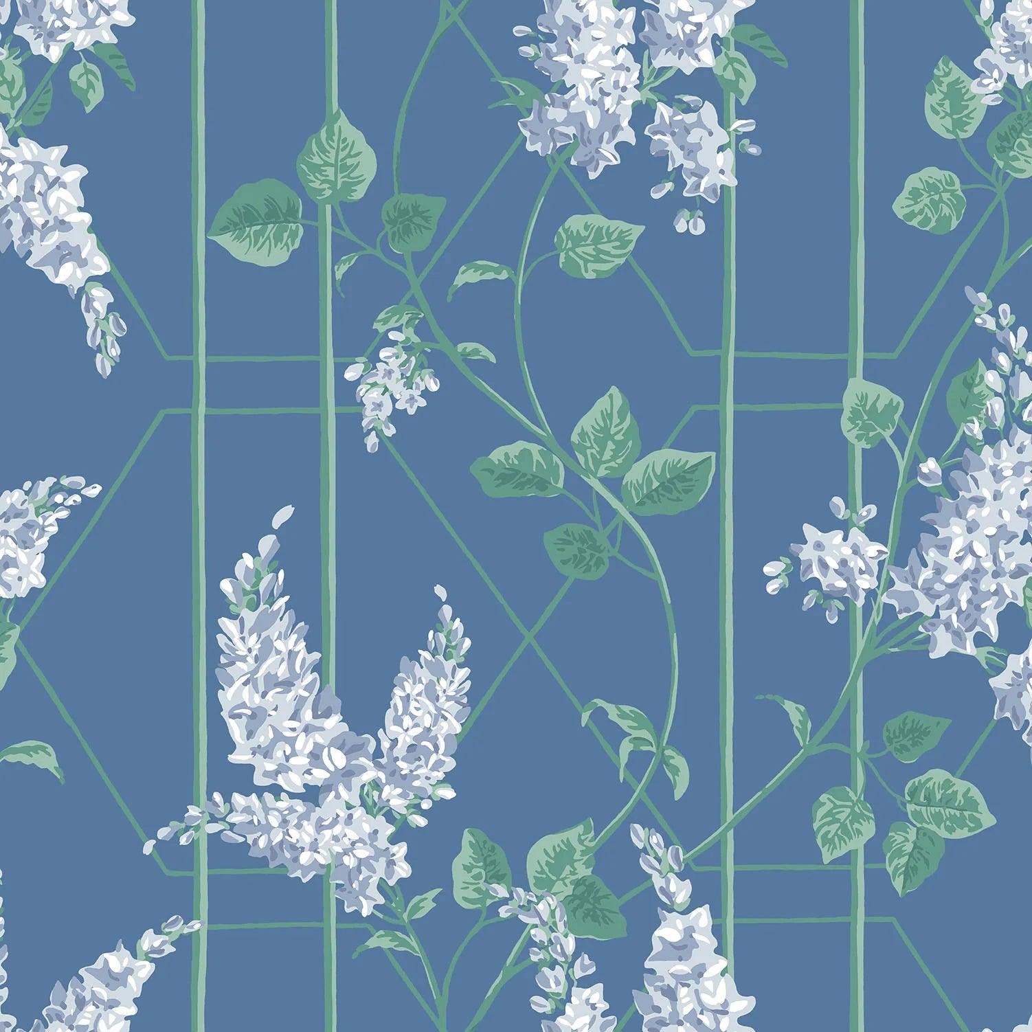 Tapeta BOTANICAL BOTANICA - Wisteria niebieski Cole & Son Default Title   Eye on Design