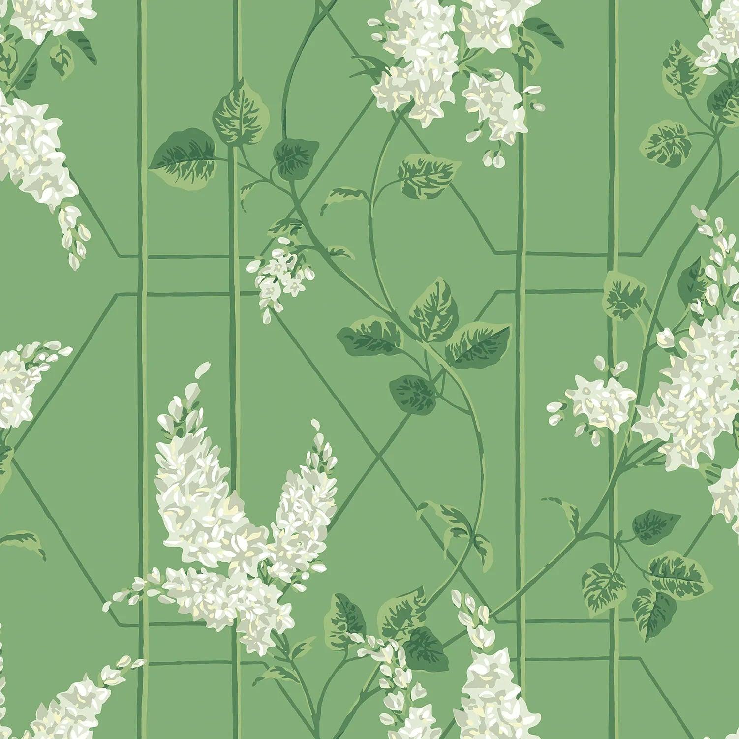 Tapeta BOTANICAL BOTANICA - Wisteria zielony Cole & Son Default Title   Eye on Design