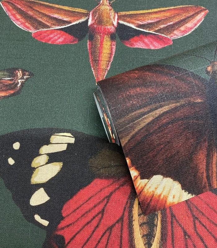 Tapeta BUTTERFLIES VERT Wallcolors    Eye on Design