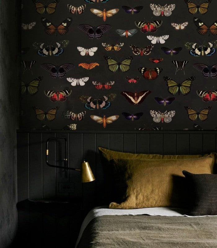 Tapeta Colorful Butterfly Green Wallcolors    Eye on Design